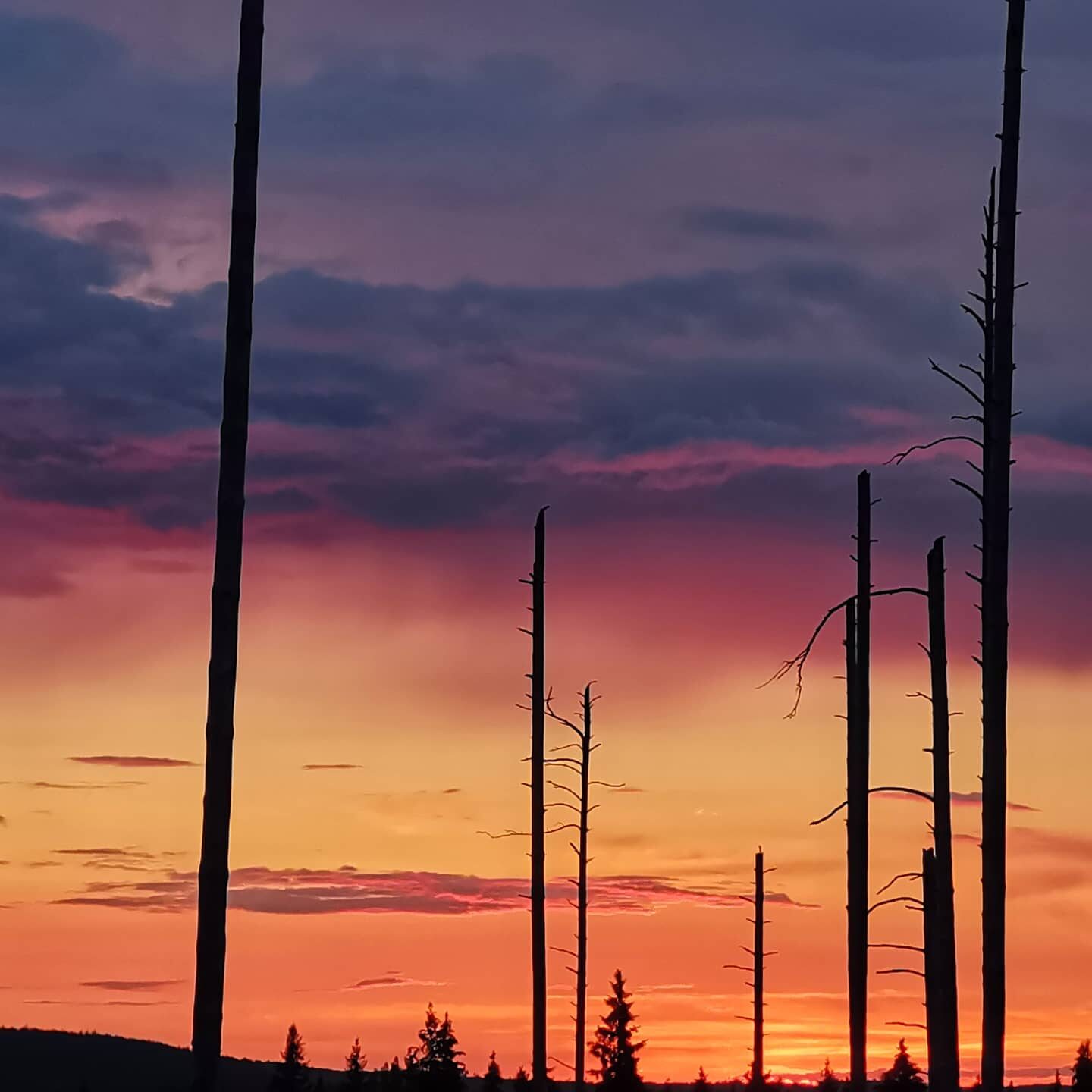 Valokuvaaja: Tapio Keinonen