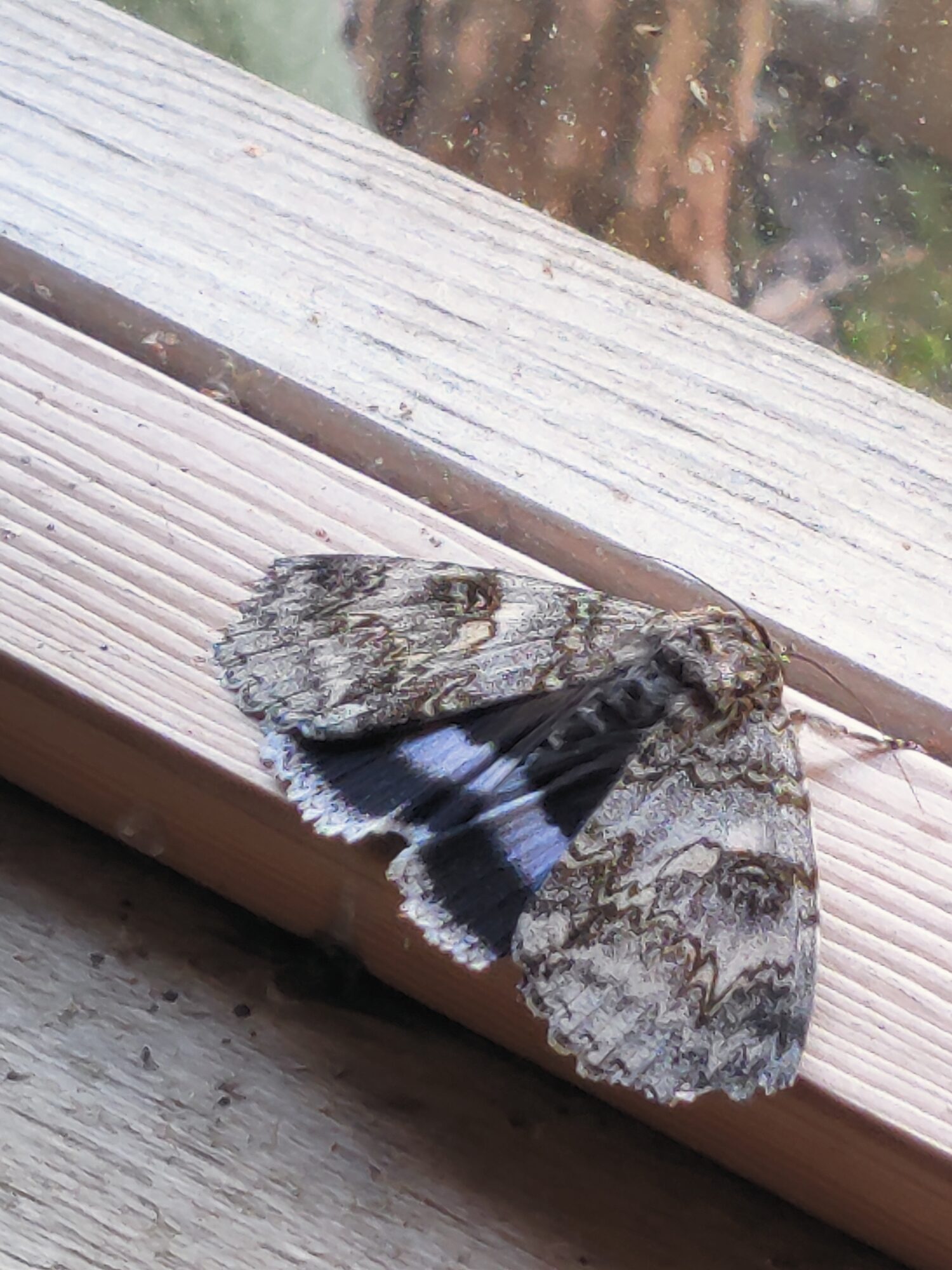 Valokuvaaja: Kirsti Orasmaa-Kasslin