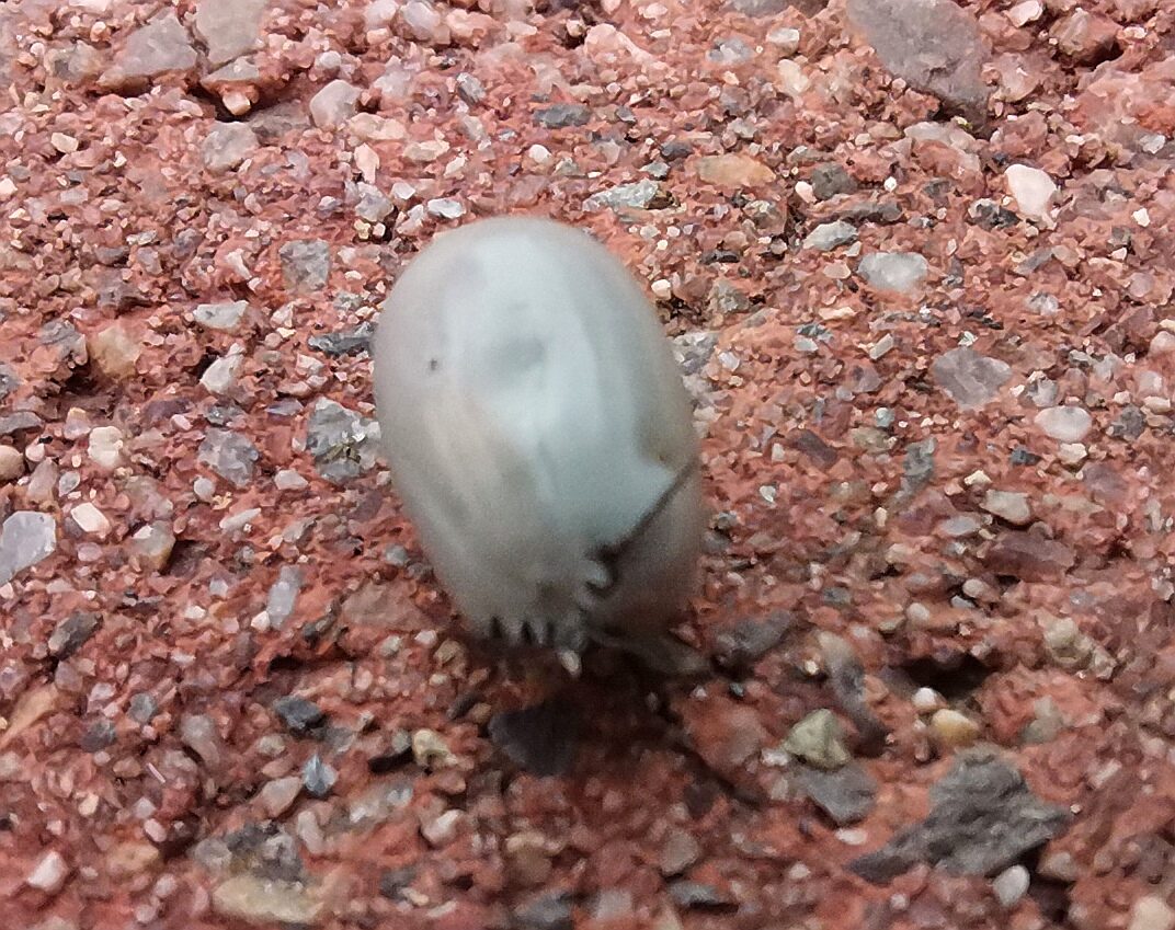 Valokuvaaja: Tapio Keinonen