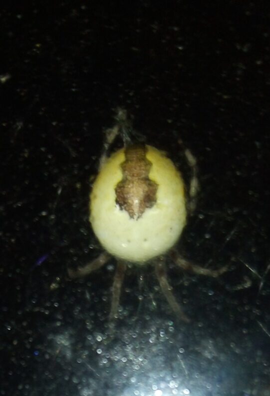 Valokuvaaja: Sami Herronen