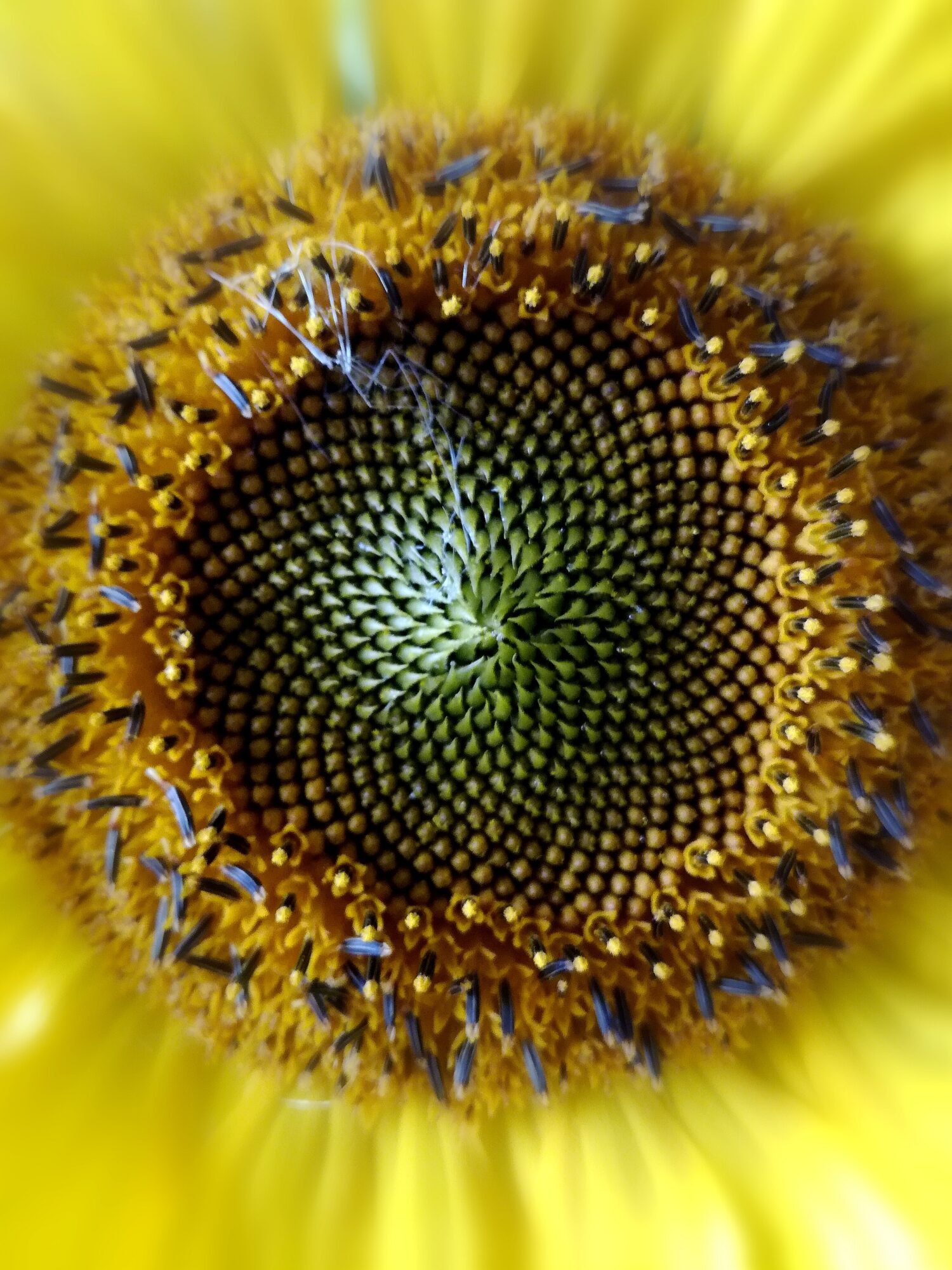 Valokuvaaja: Marketta Kokko