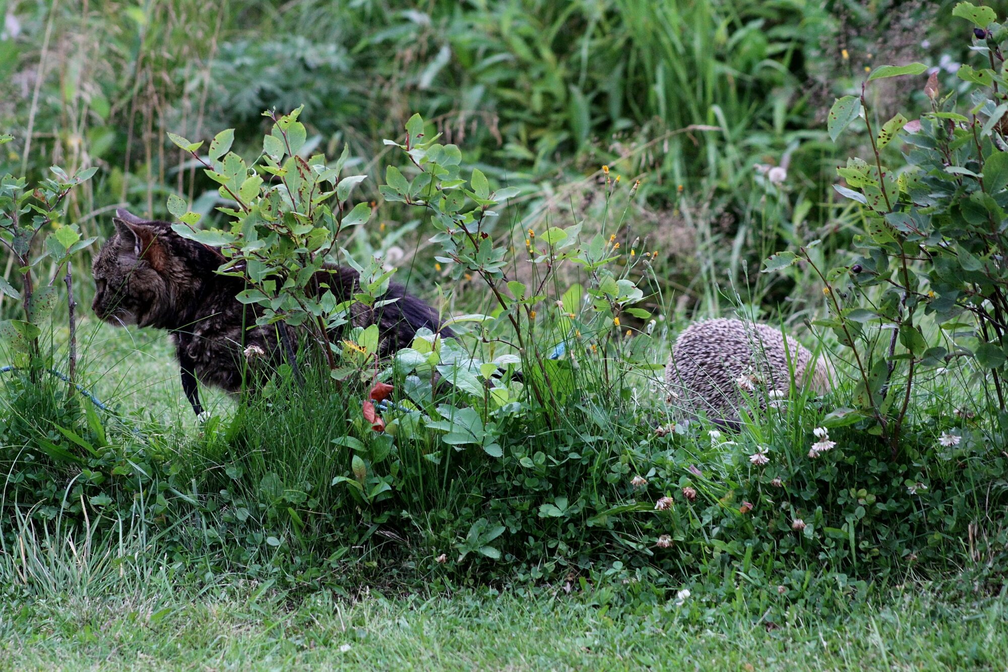 Valokuvaaja: Pirkko Siukonen