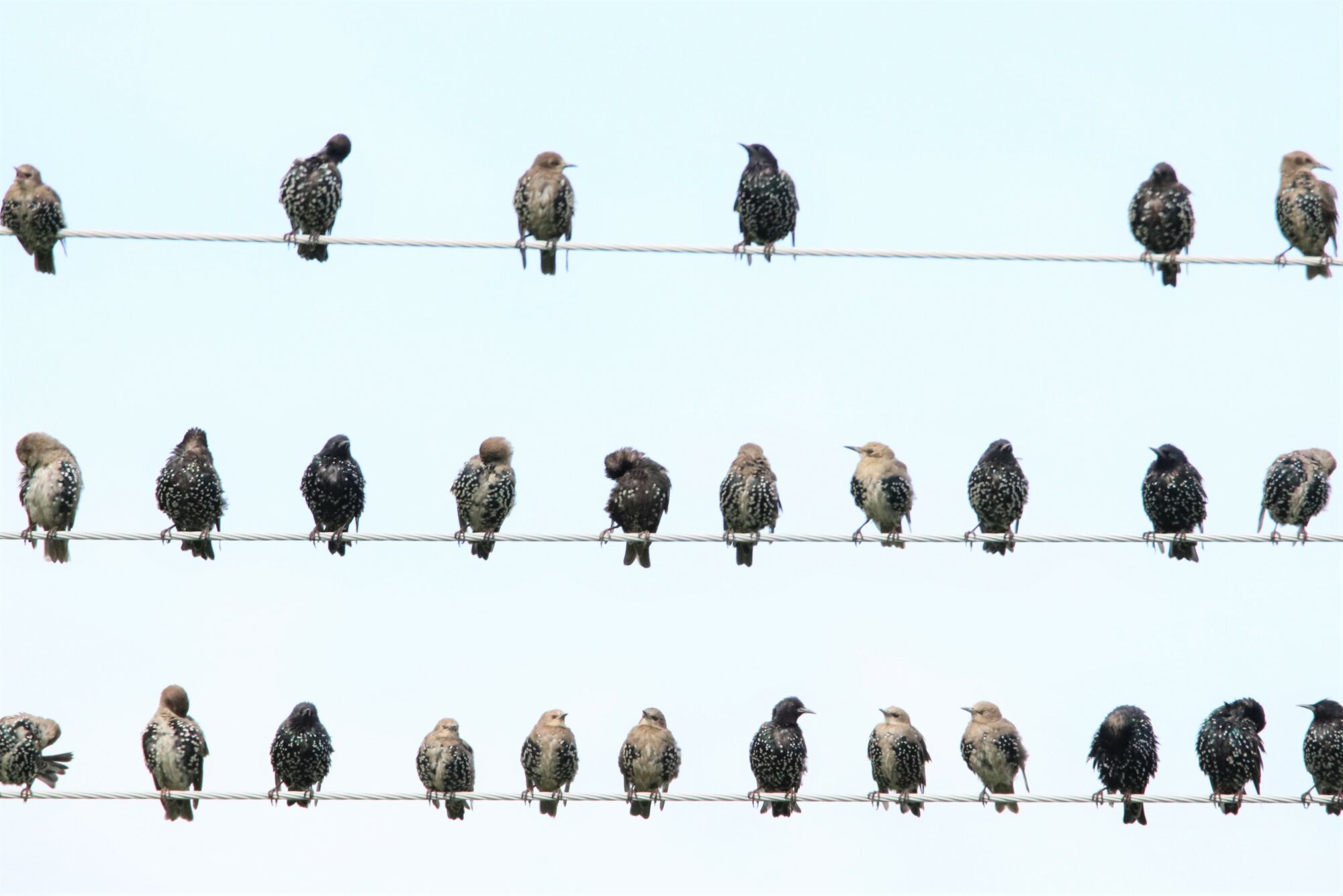 Valokuvaaja: Irja Lehtinen