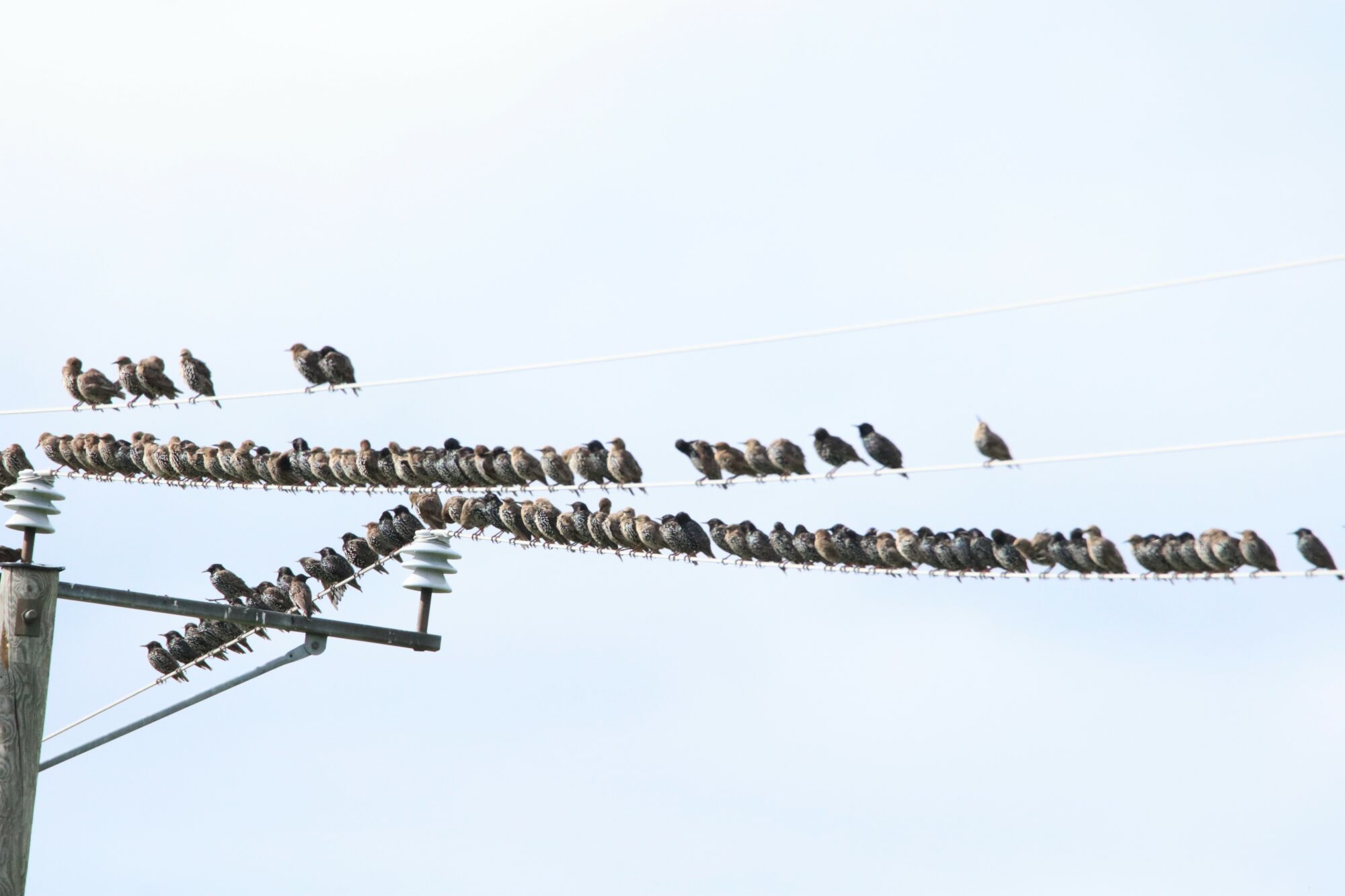 Valokuvaaja: Irja Lehtinen