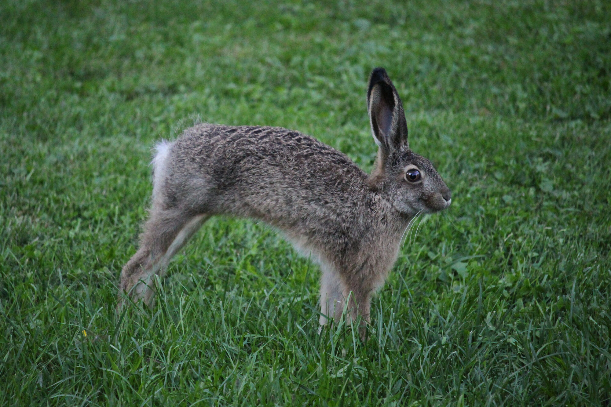 Valokuvaaja: Kirsi-Marja Joenpolvi