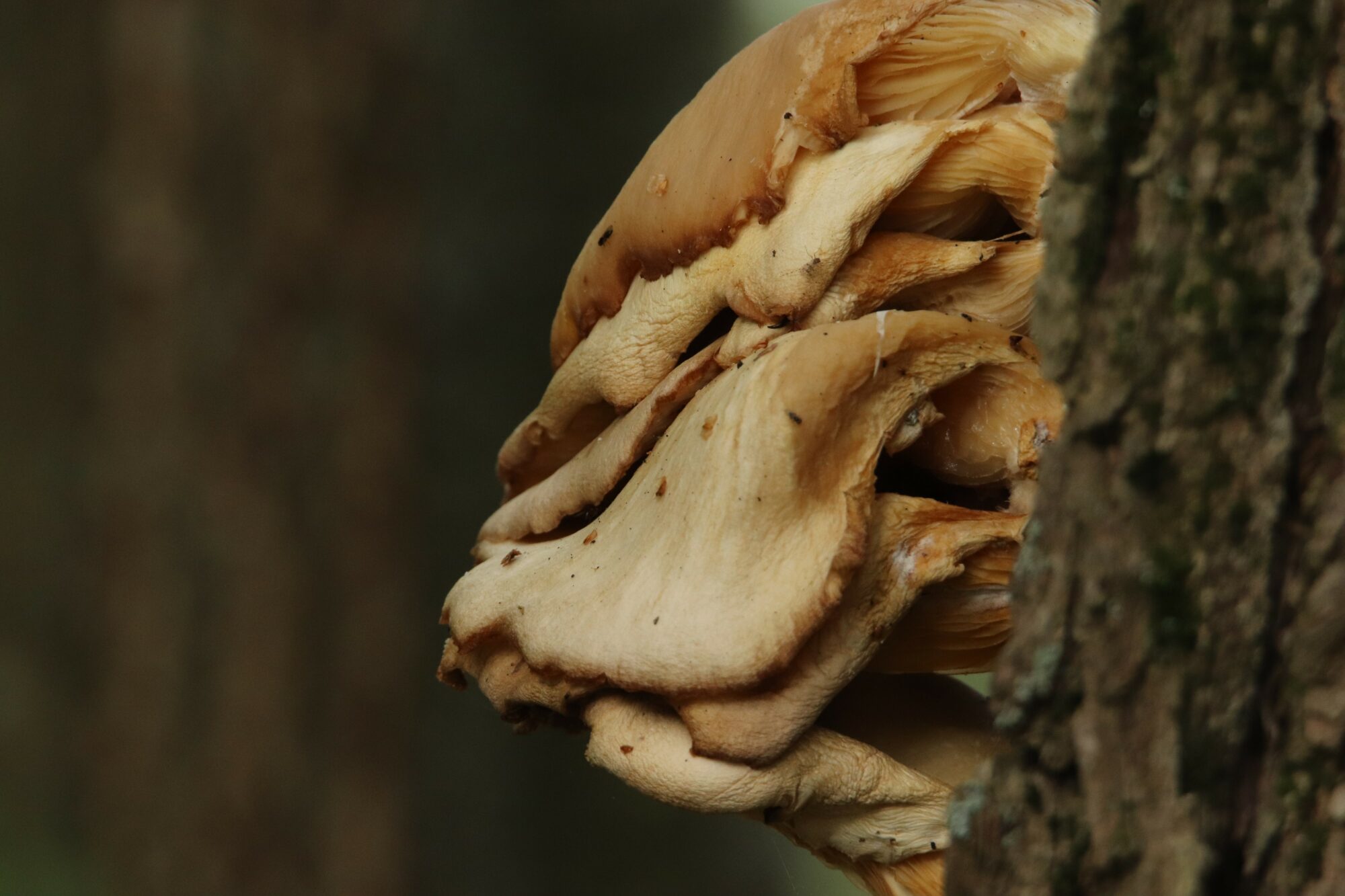 Valokuvaaja: Irja Lehtinen