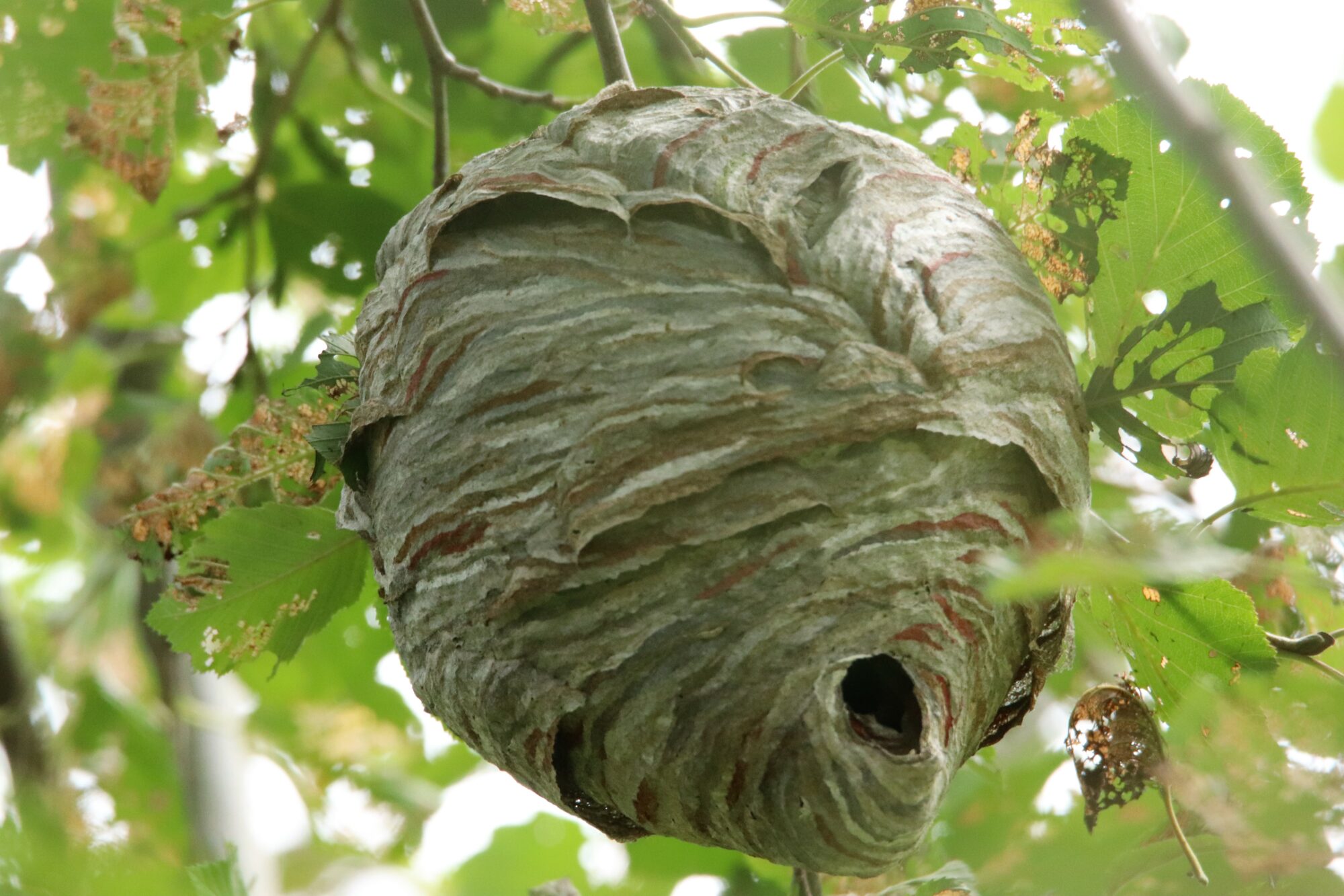 Valokuvaaja: Irja Lehtinen