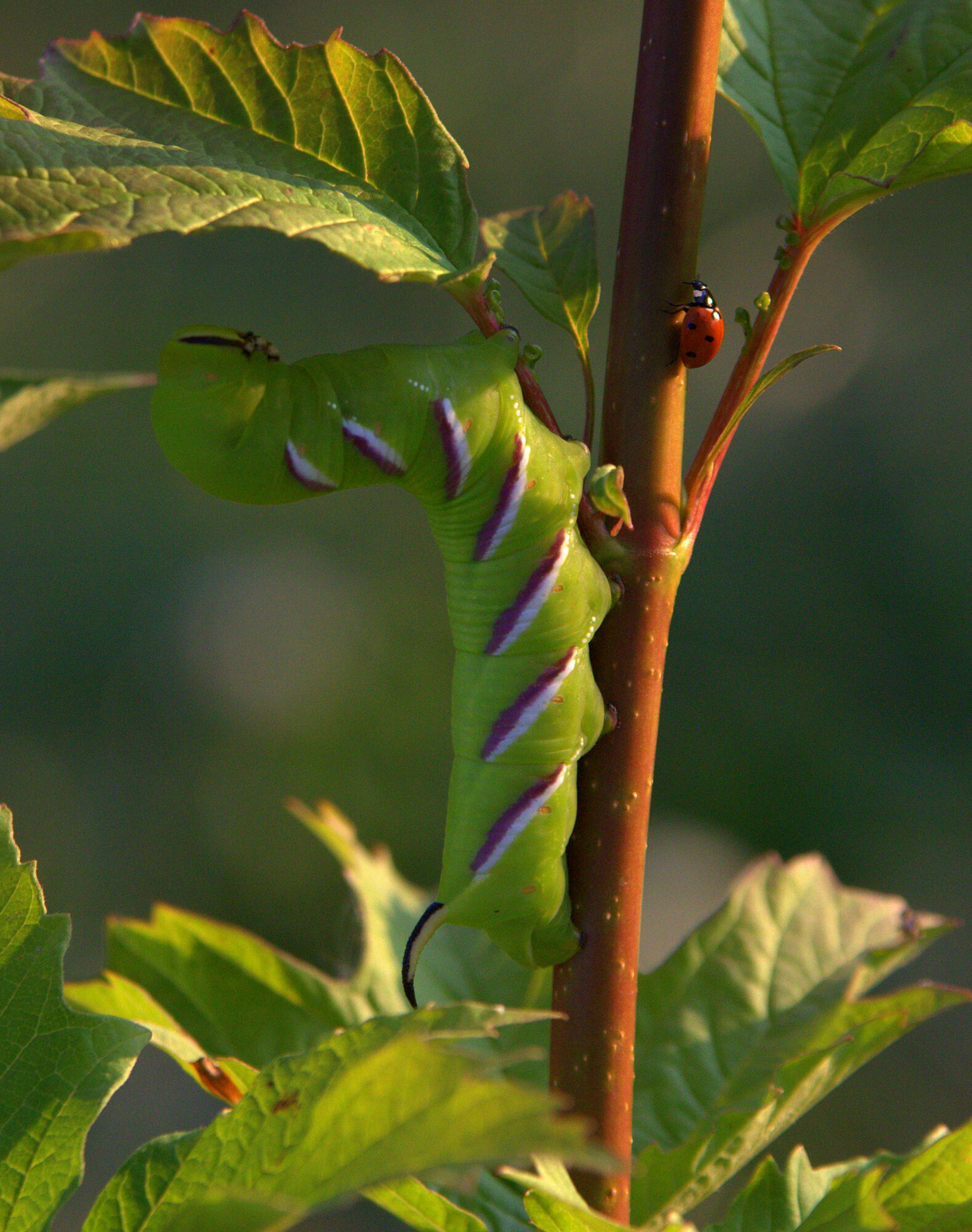 Valokuvaaja: tapio keinonen
