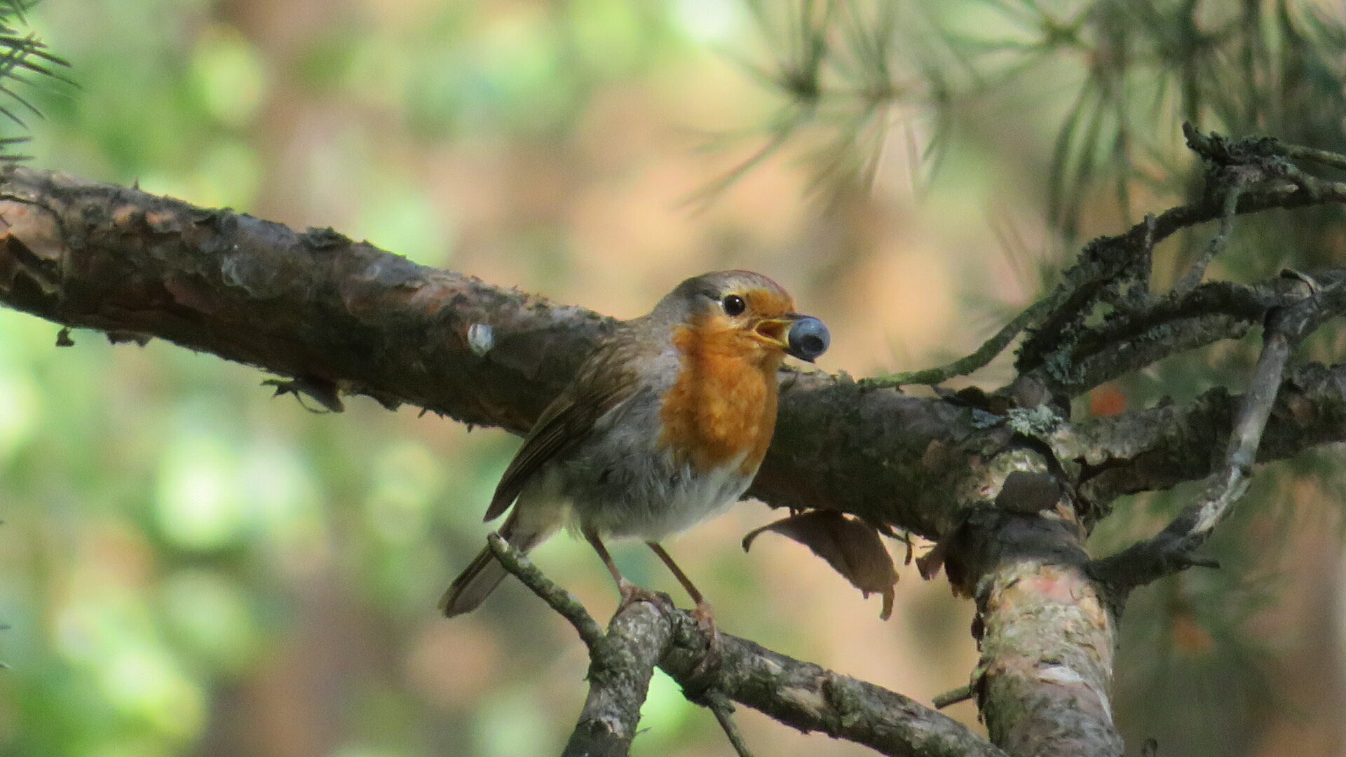 Valokuvaaja: Risto Kangassalo