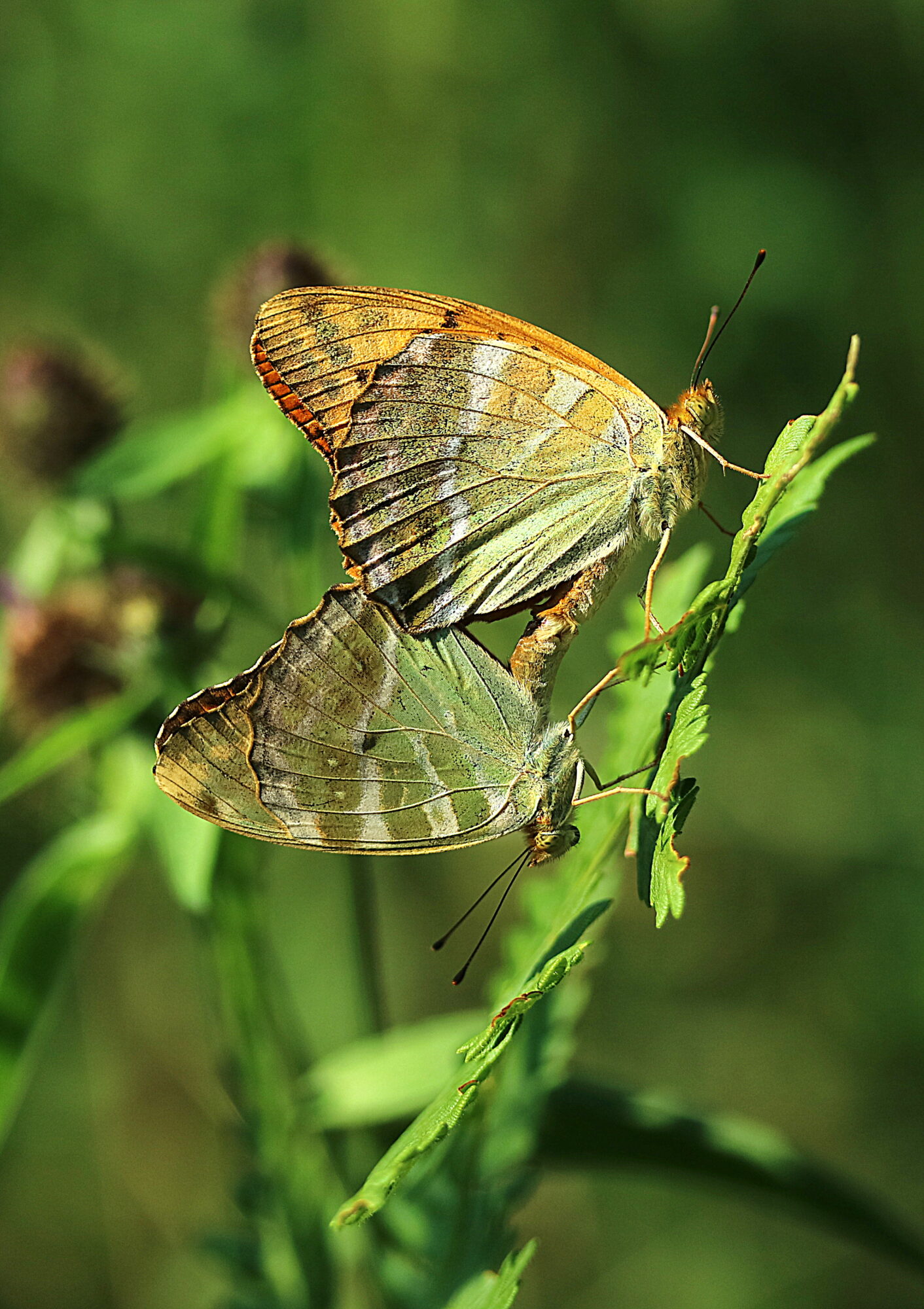 Valokuvaaja: Hannu Rasiranta
