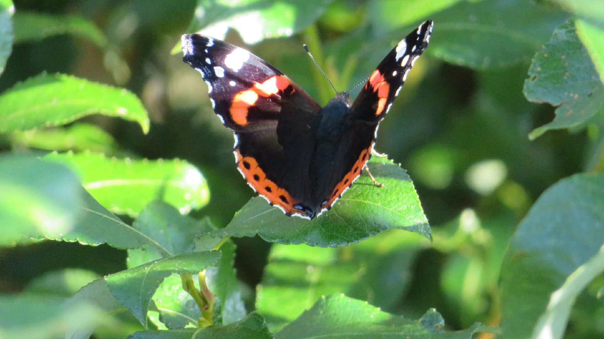 Valokuvaaja: Risto Kangassalo