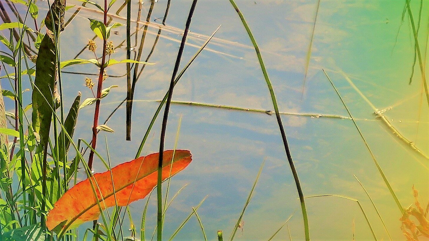 Valokuvaaja: Arto Alasuutari