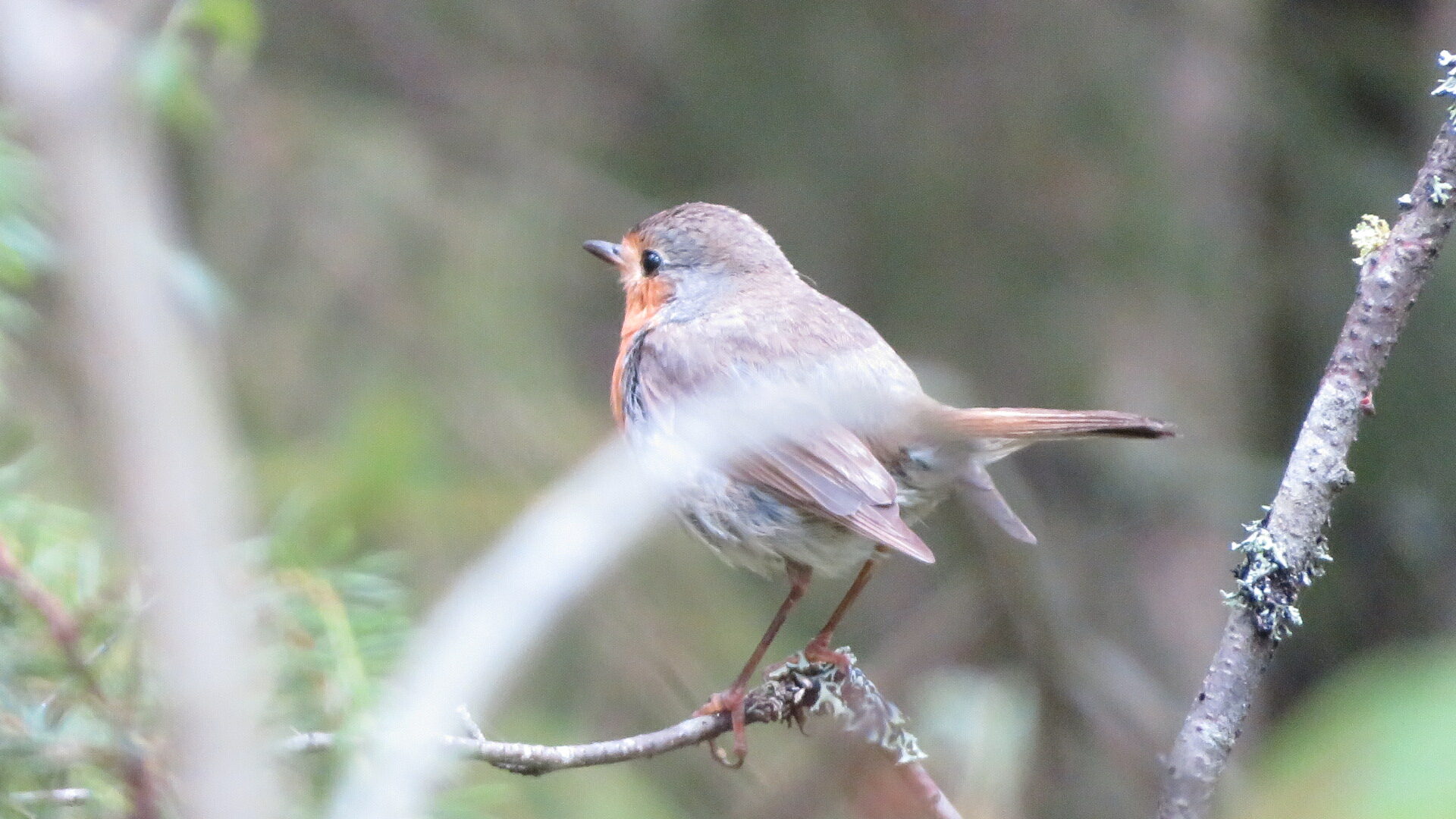 Valokuvaaja: Risto Kangassalo