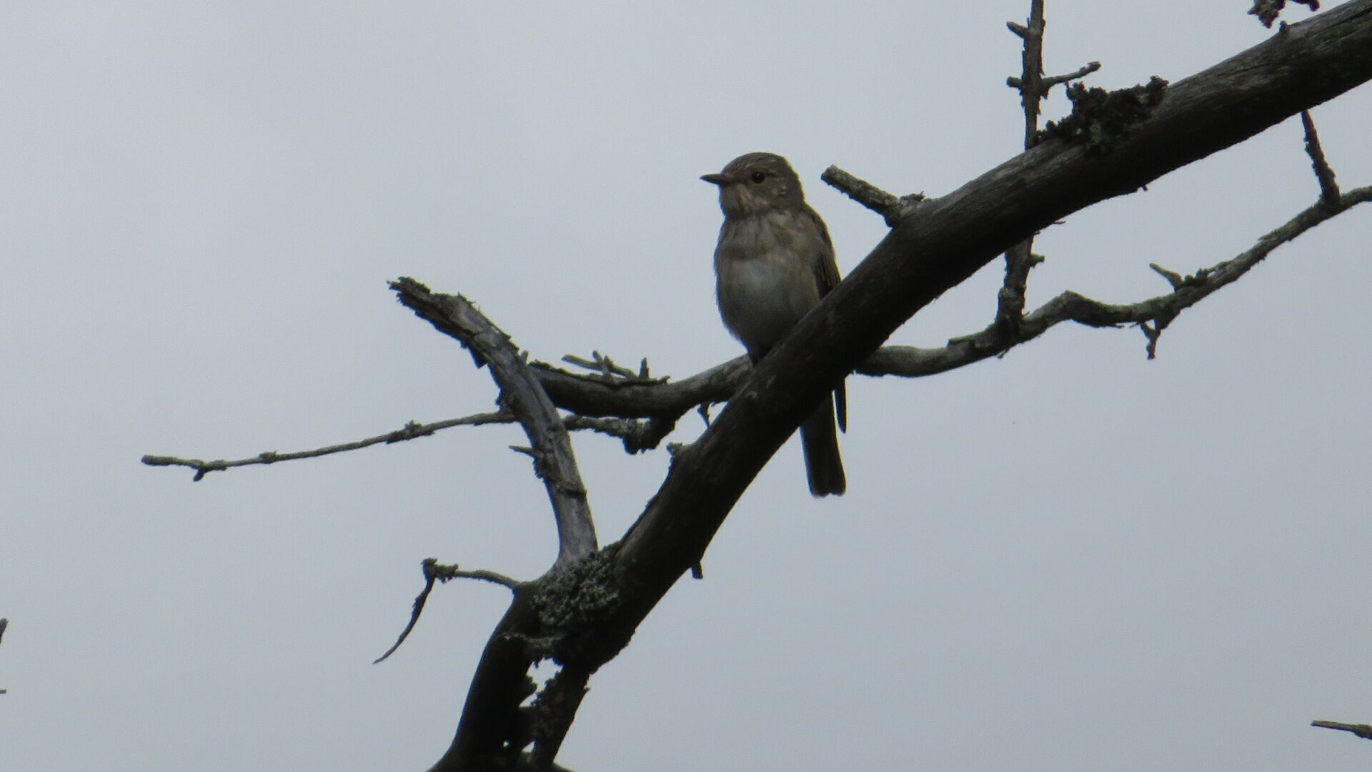 Valokuvaaja: Risto Kangassalo
