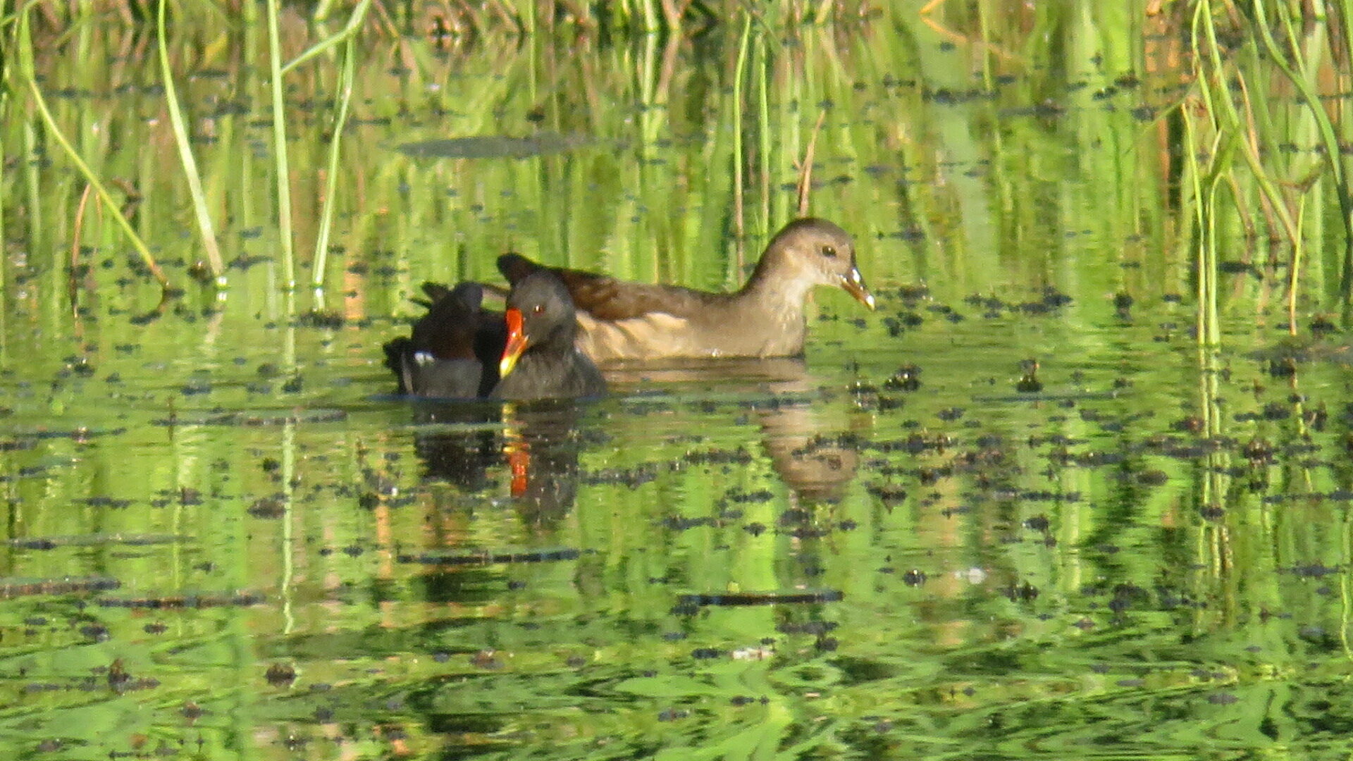 Valokuvaaja: Risto Kangassalo