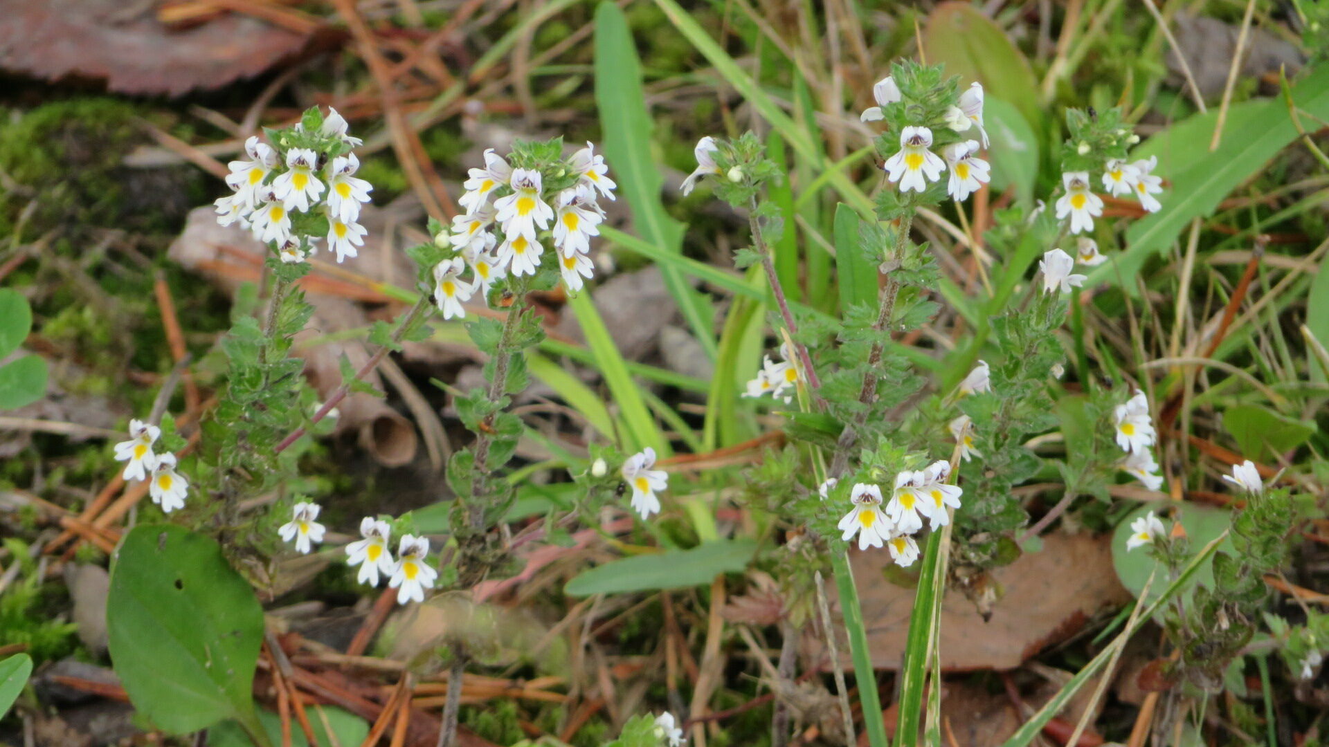 Valokuvaaja: Risto Kangassalo Valokuvaaja: Risto Kangassalo