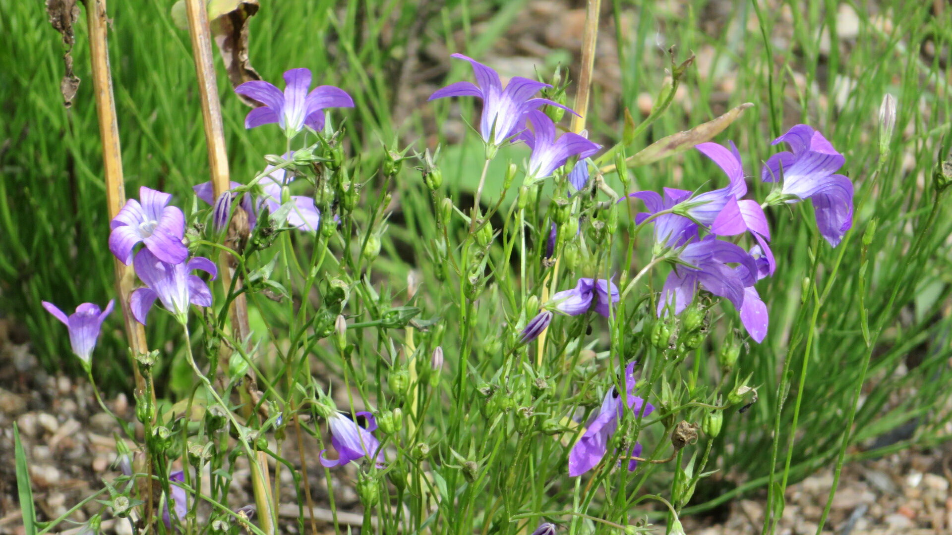 Valokuvaaja: Risto Kangassalo