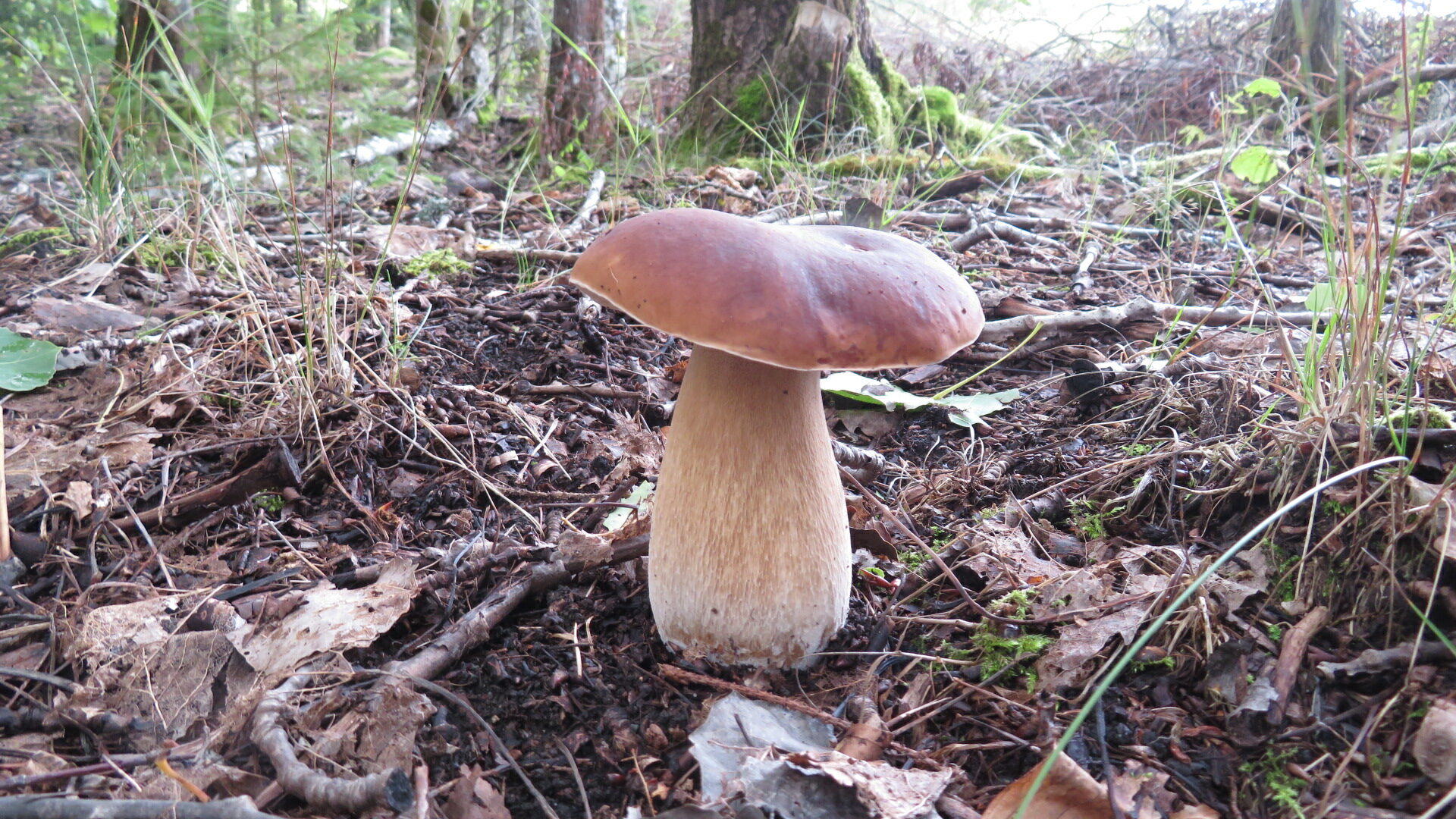 Valokuvaaja: Risto Kangassalo