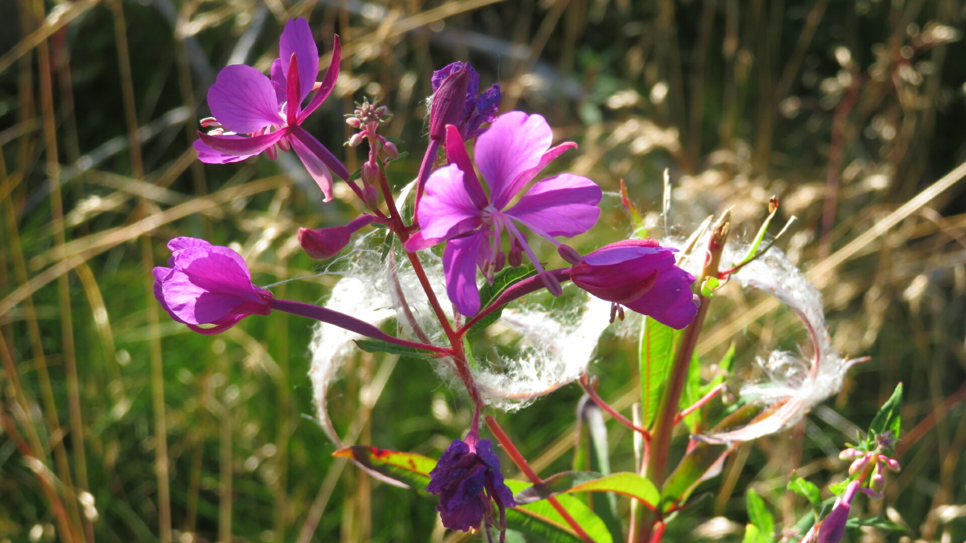 Valokuvaaja: Risto Kangassalo