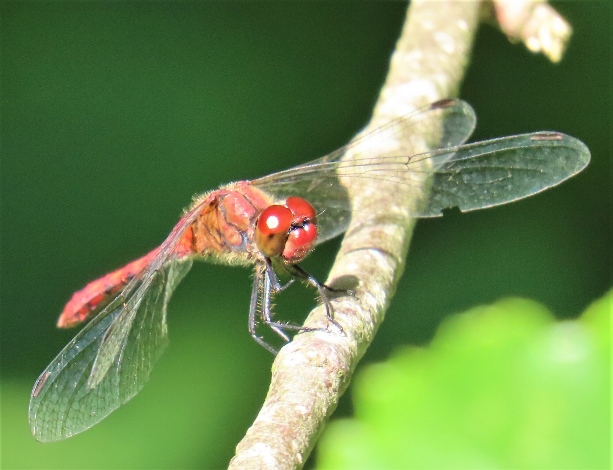 Valokuvaaja: Birgit Silvennoinen