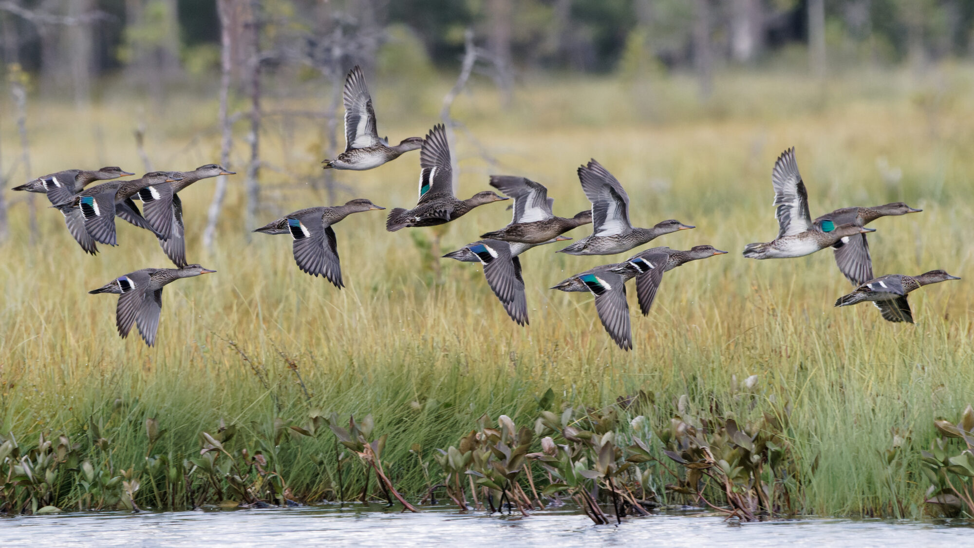 Valokuvaaja: Tommi Kujala