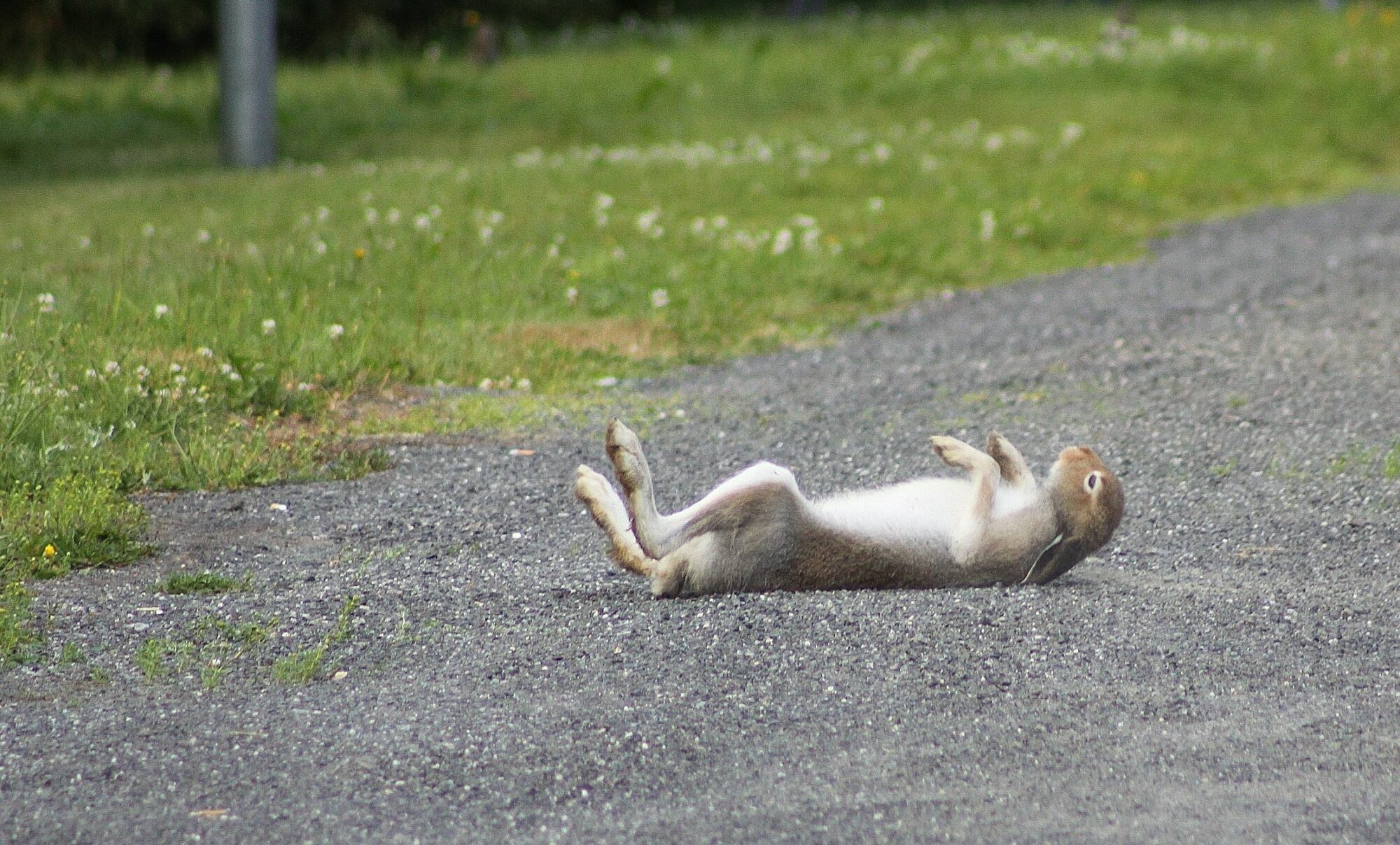 Valokuvaaja: Pirkko Siukonen Valokuvaaja: Pirkko Siukonen