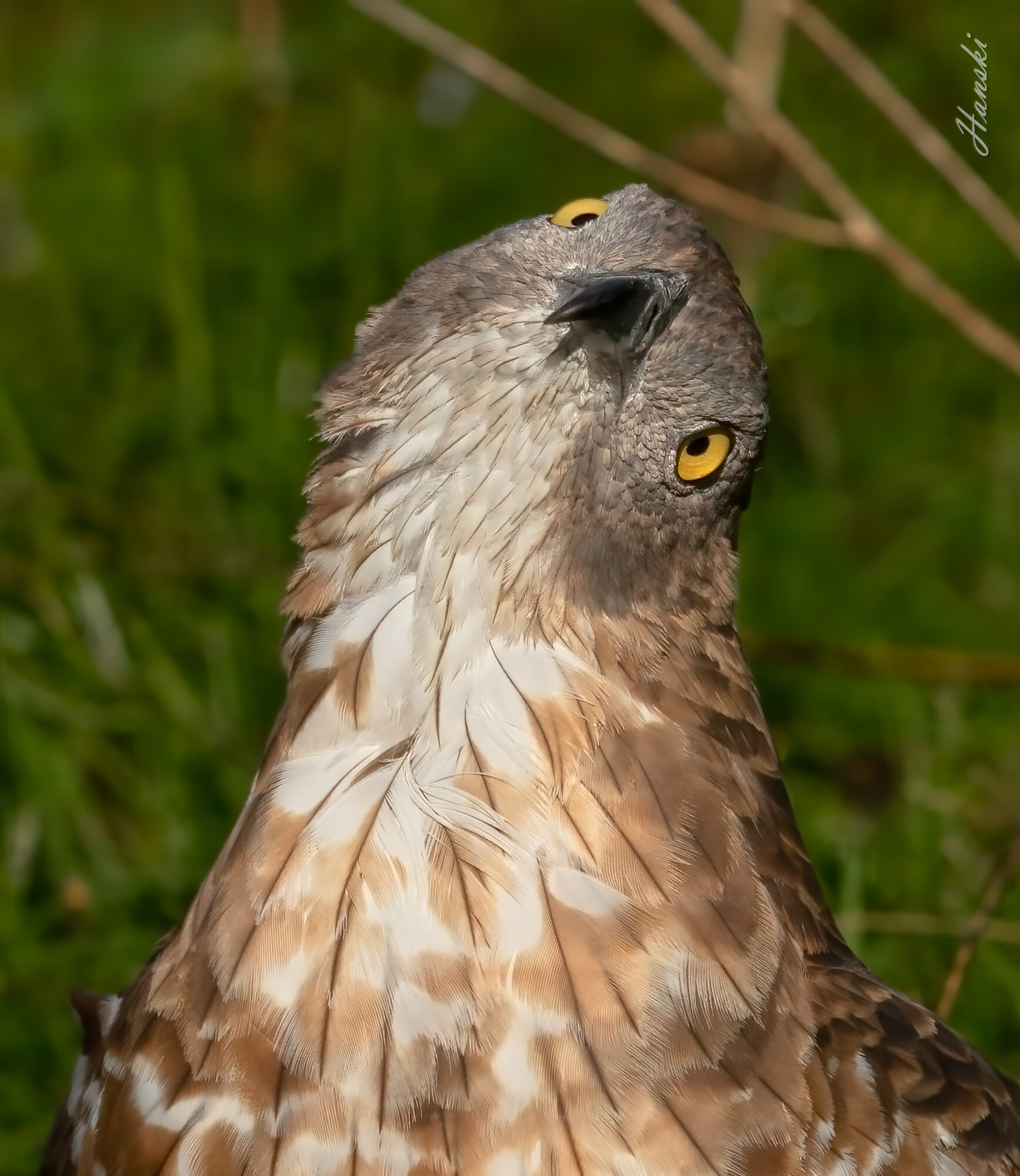 Valokuvaaja: Hannu Teittinen
