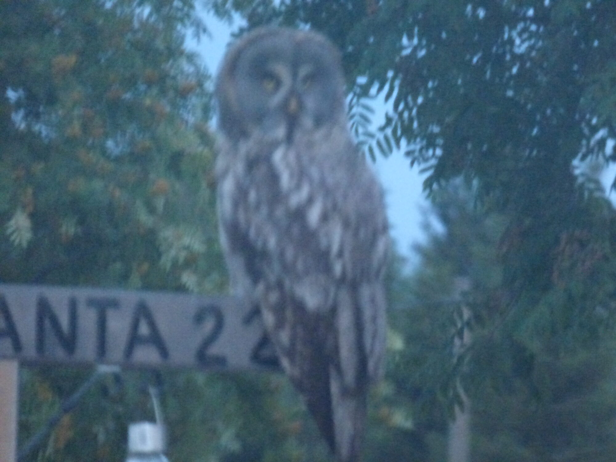 Valokuvaaja: Hannu Rissanen