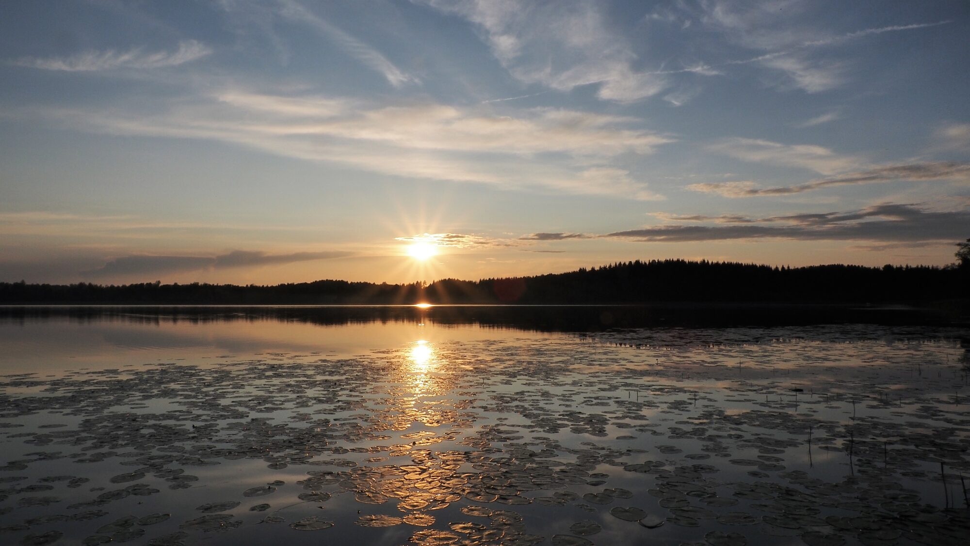 Valokuvaaja: Arja Valtonen