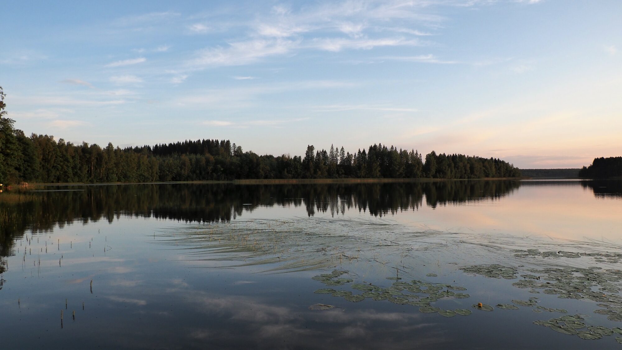 Valokuvaaja: Arja Valtonen