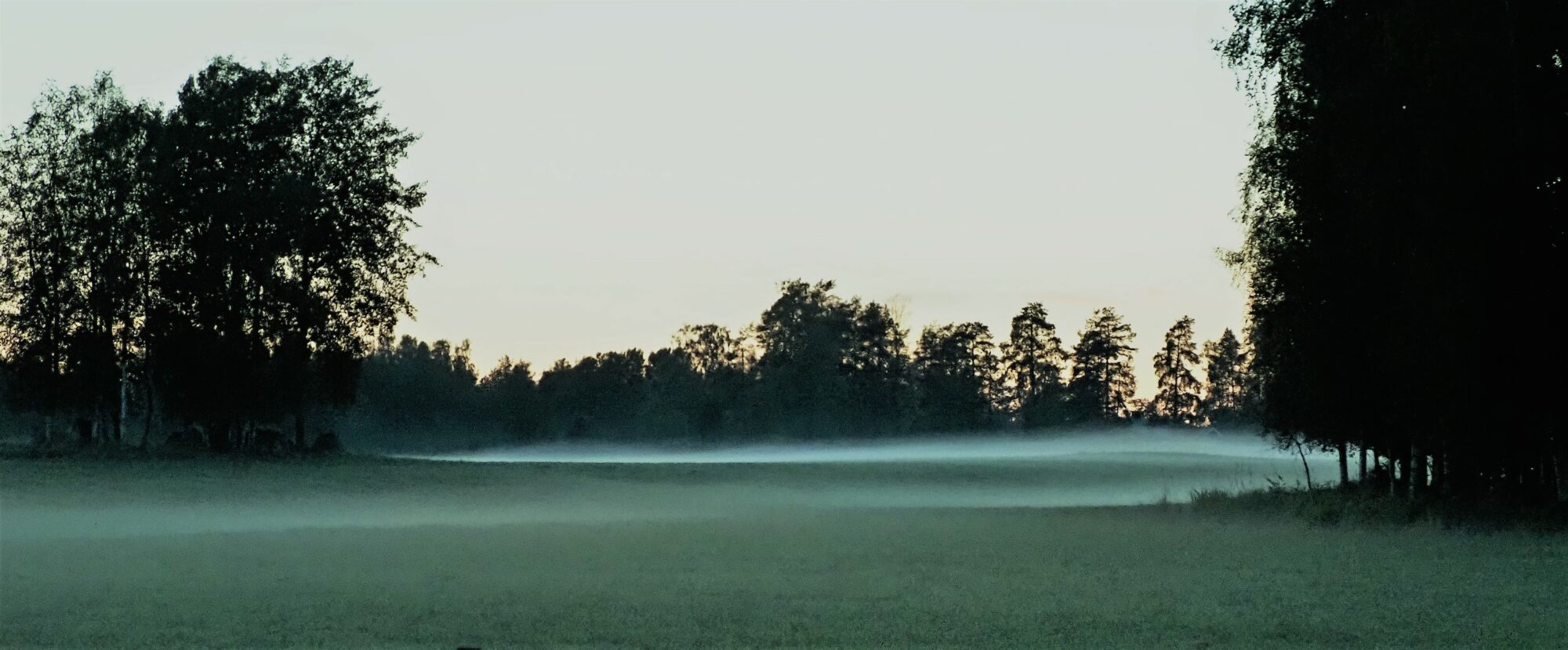 Valokuvaaja: Arja Valtonen