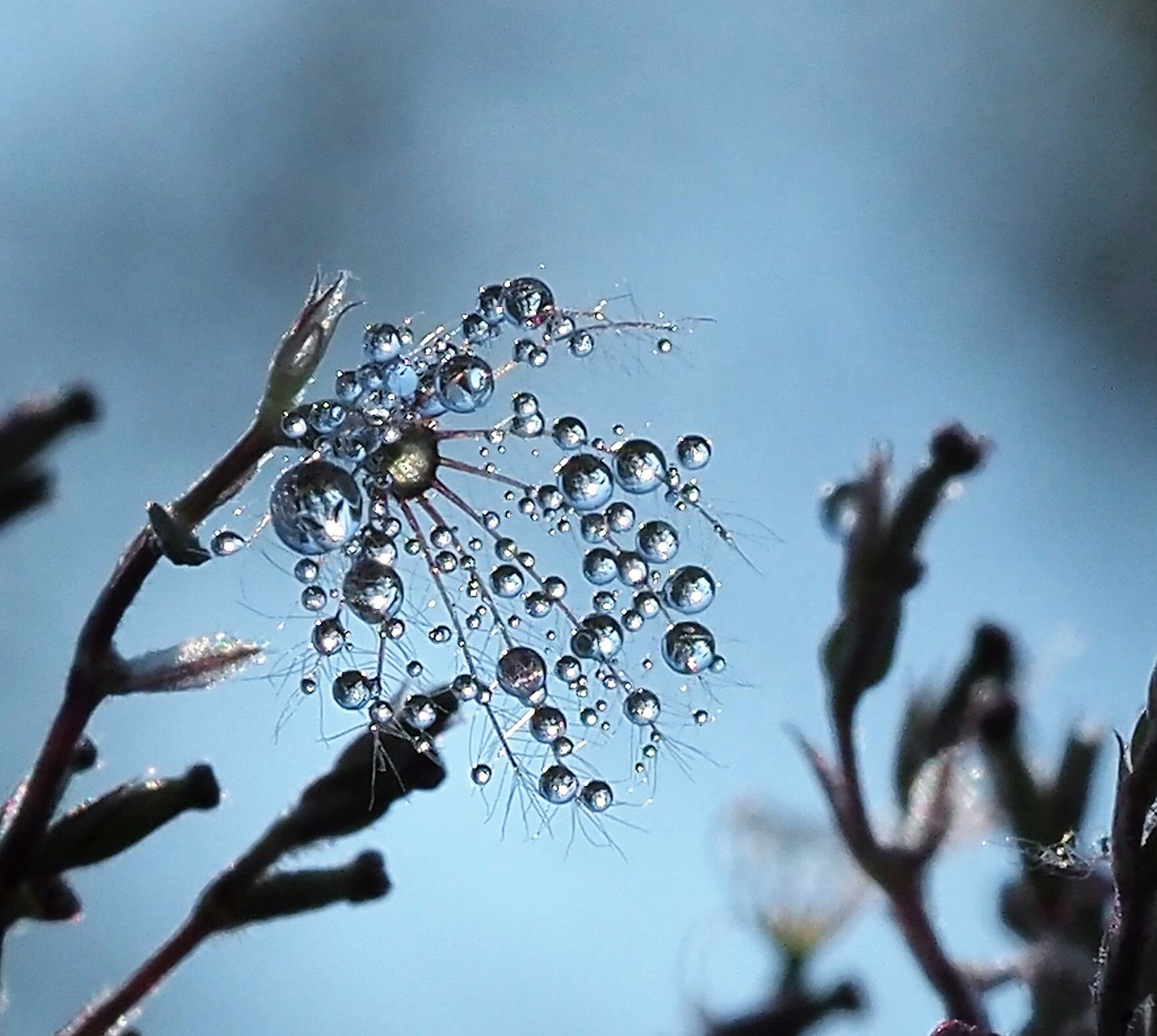 Valokuvaaja: Arja Valtonen