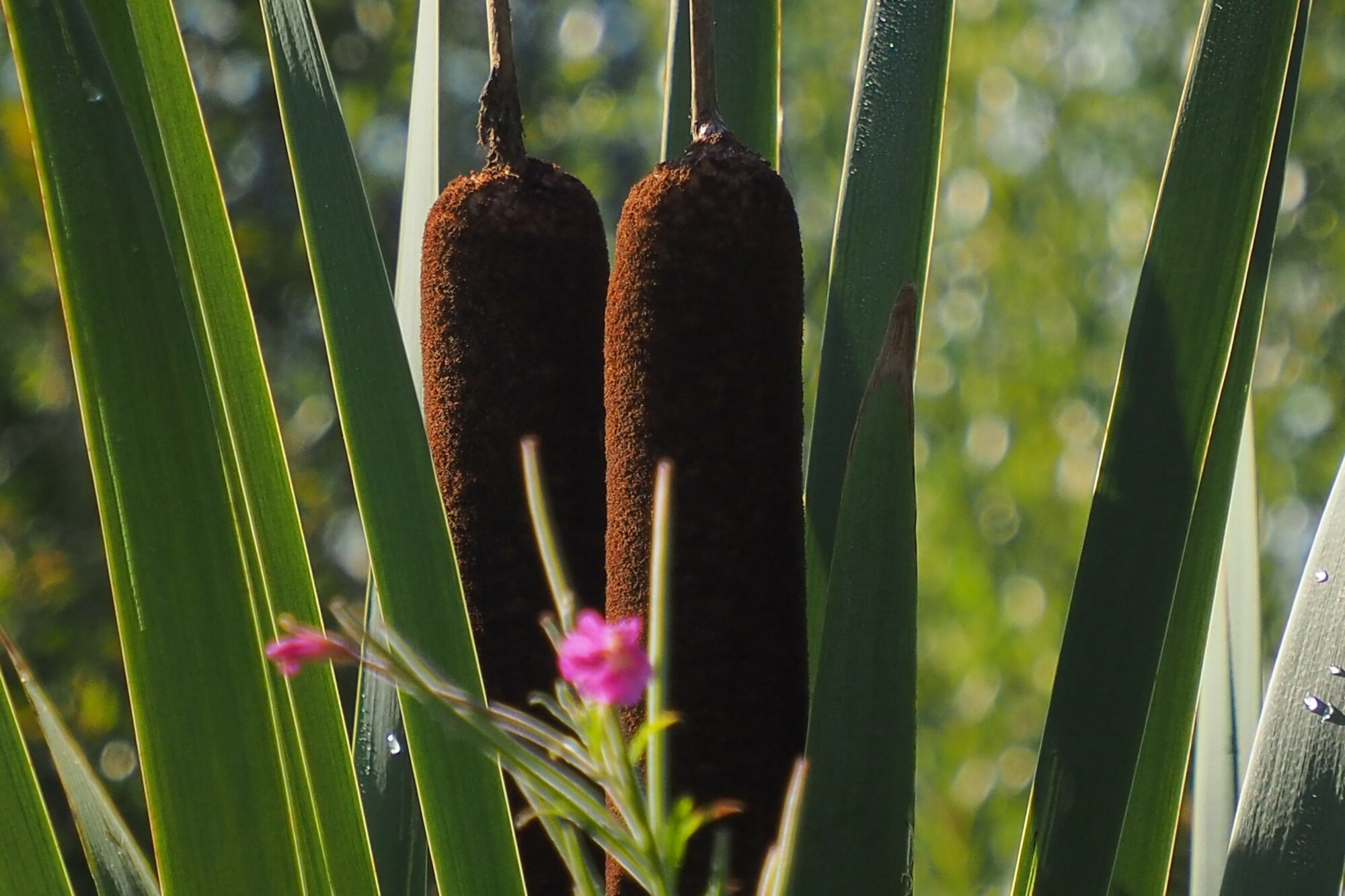 Valokuvaaja: Martti Valtonen