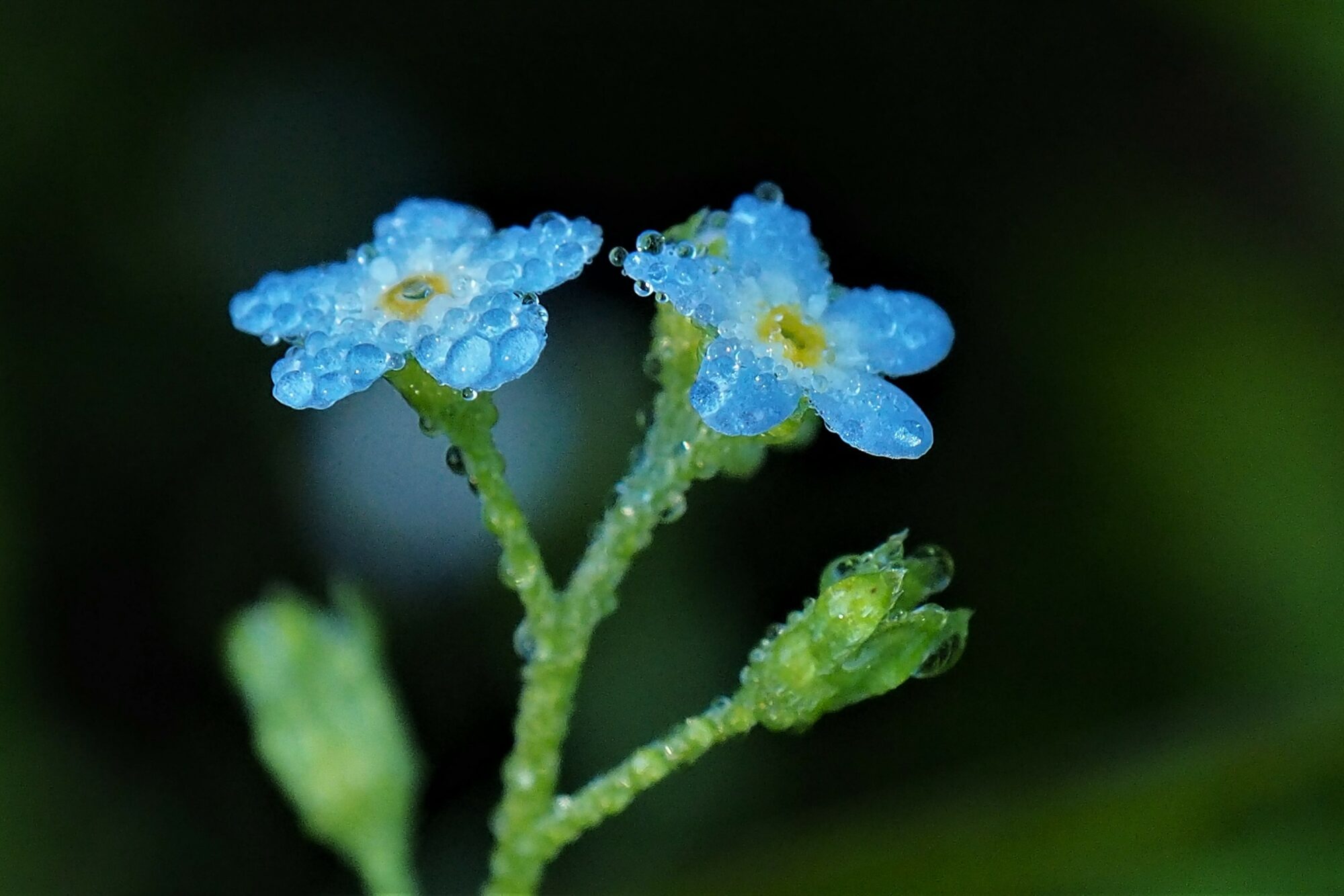 Valokuvaaja: Martti Valtonen