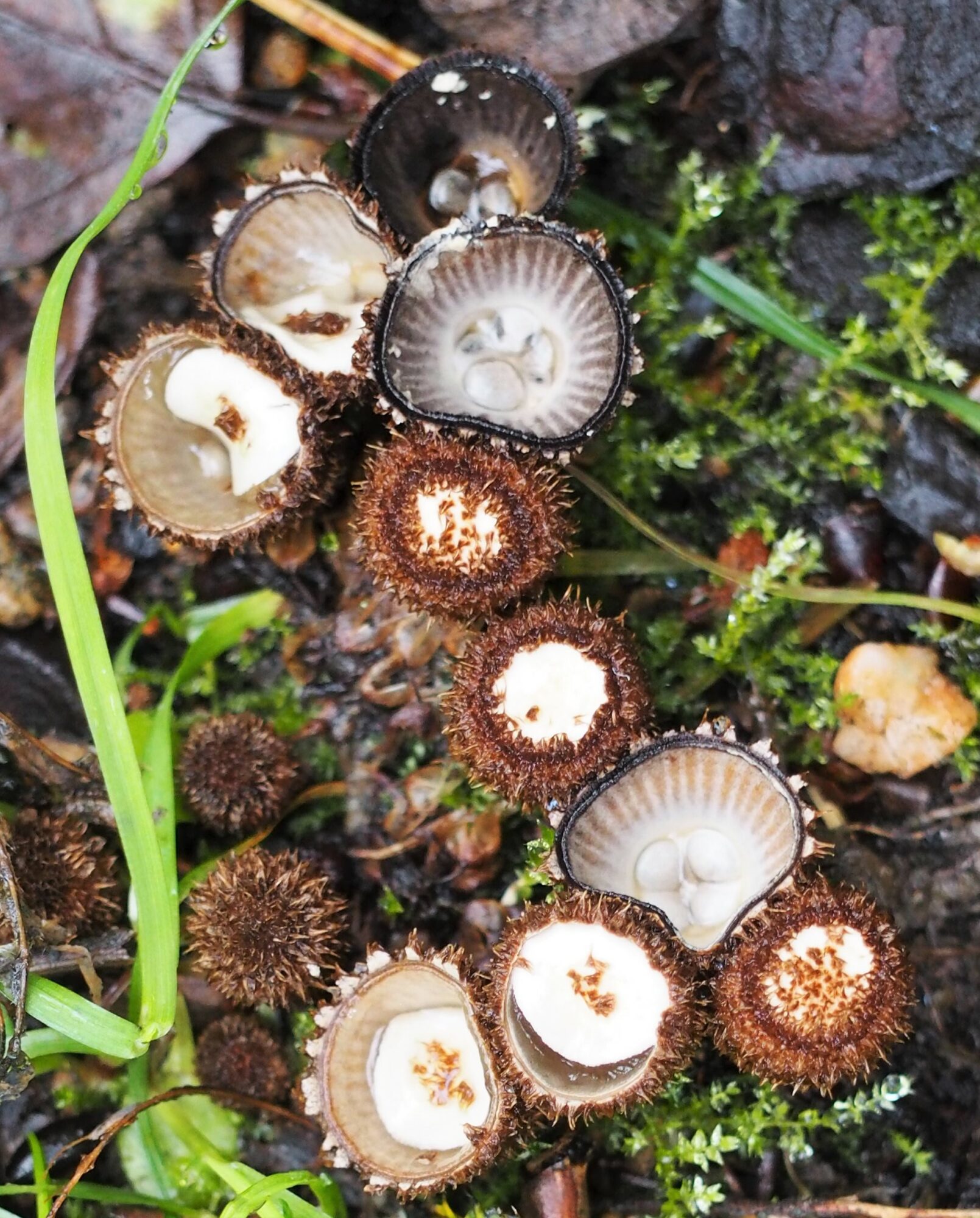 Valokuvaaja: Maria Blomgren