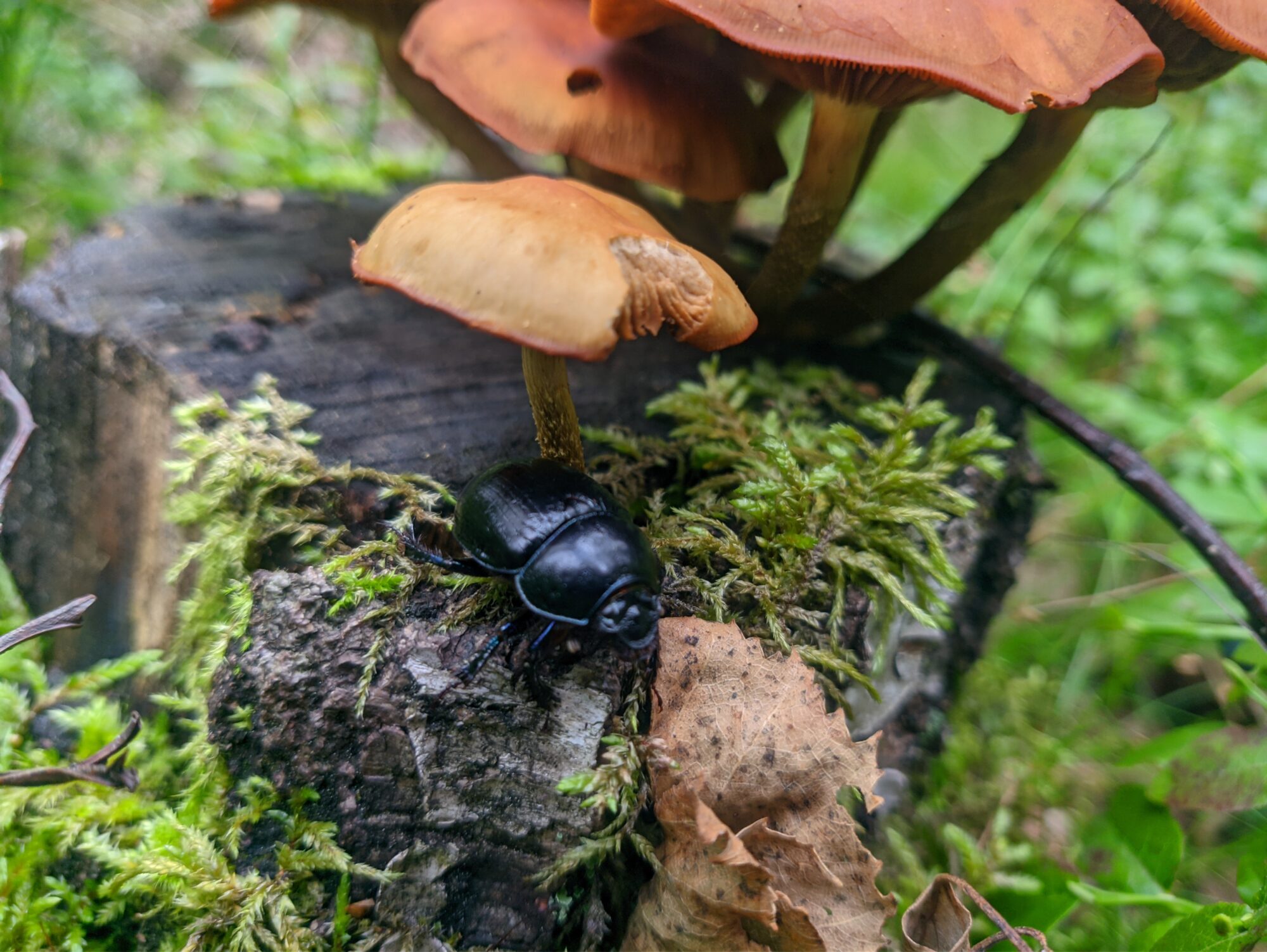 Valokuvaaja: Ville Valokuvaaja: Ville