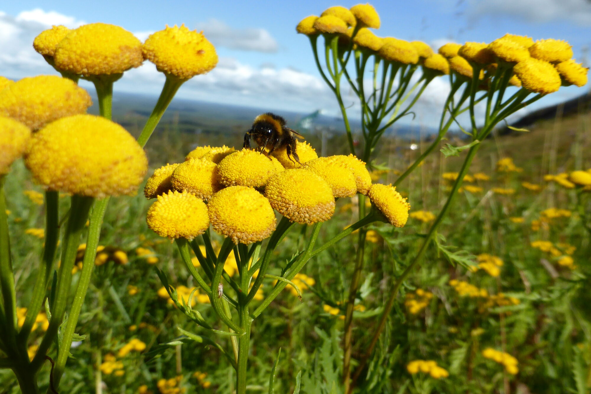 Valokuvaaja: Kaarlo Asikainen Valokuvaaja: Kaarlo Asikainen