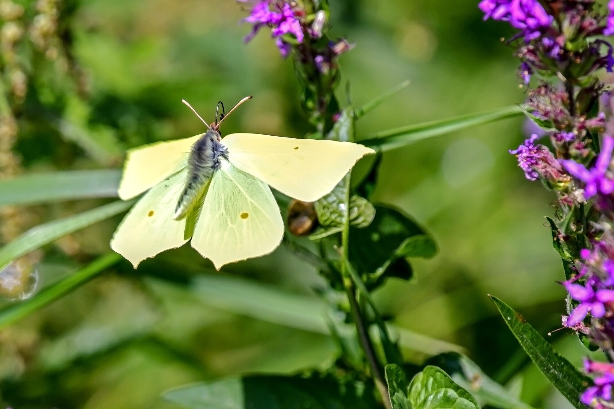 Valokuvaaja: Esko Pihl