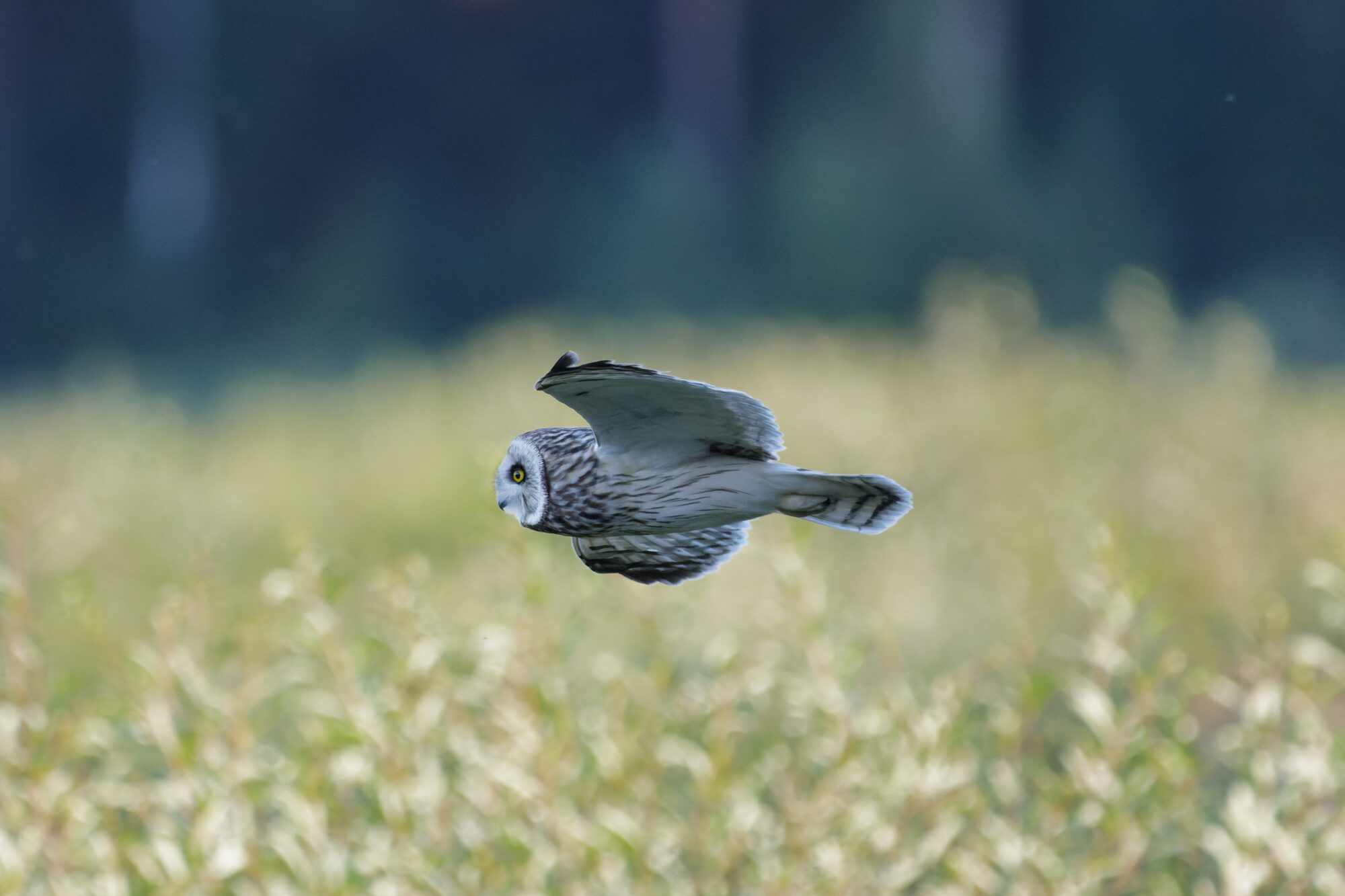 Valokuvaaja: Tommi Kujala