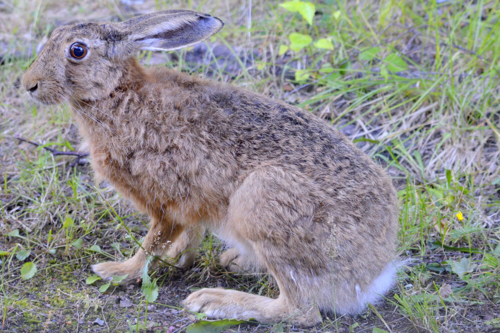 Valokuvaaja: Kaarlo Asikainen