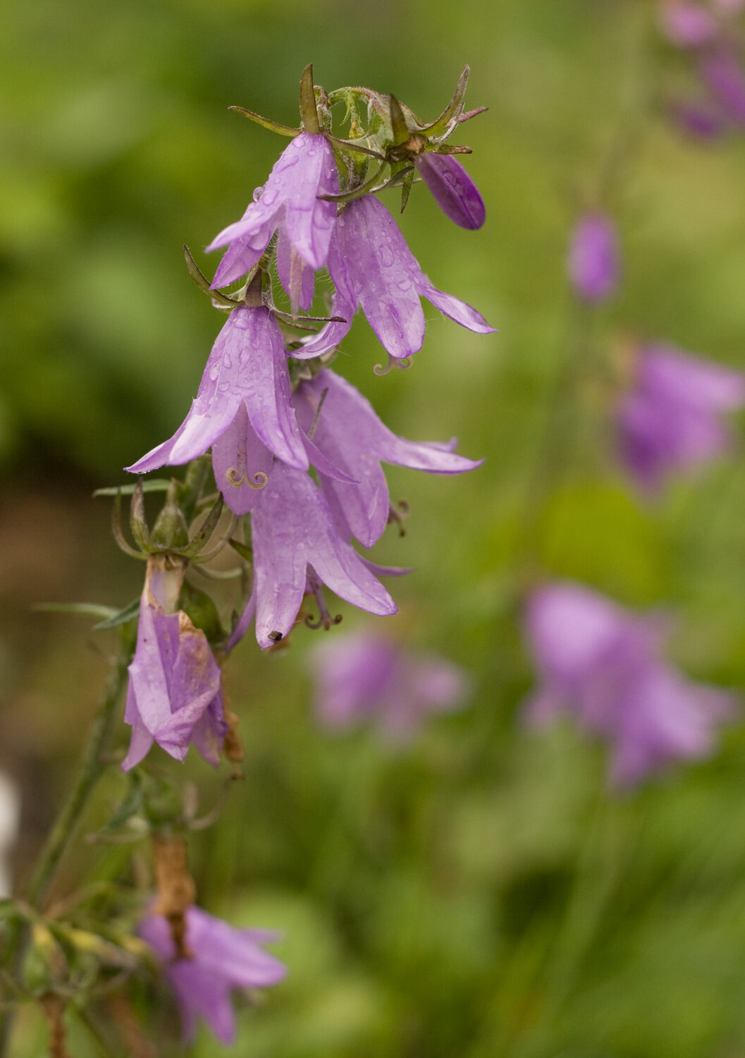 Valokuvaaja: Marja Nevalainen