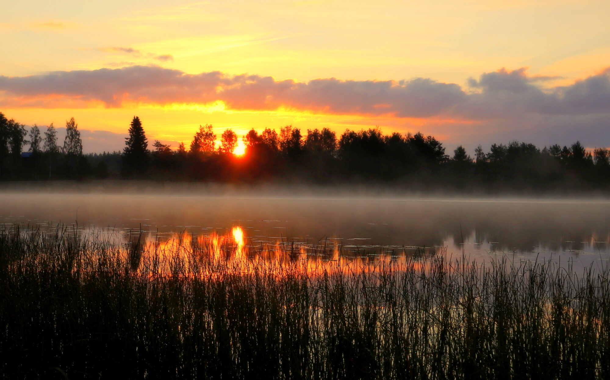 Valokuvaaja: sirpa jyske