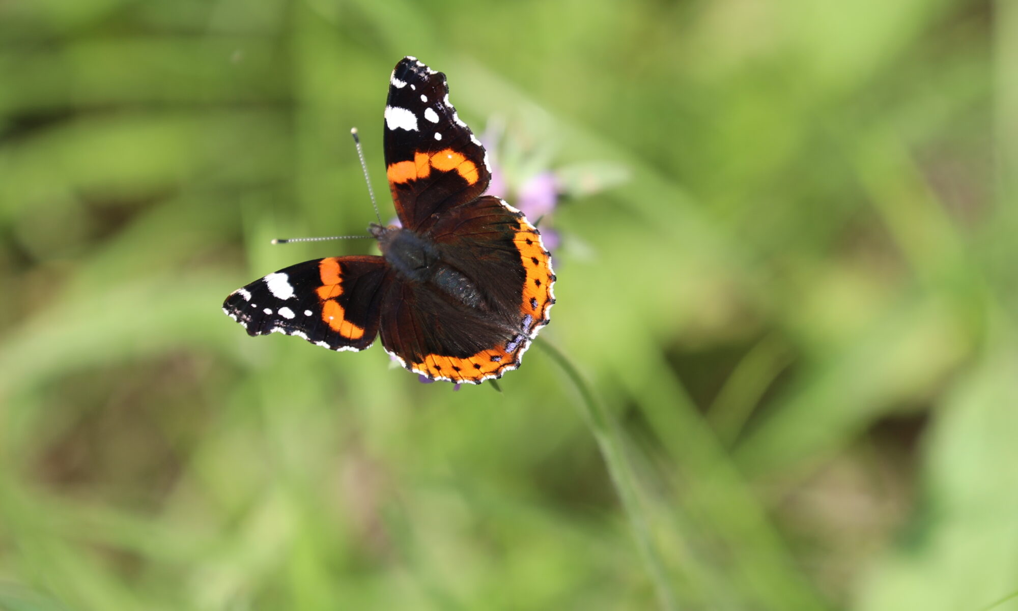 Valokuvaaja: Ahti Keränen