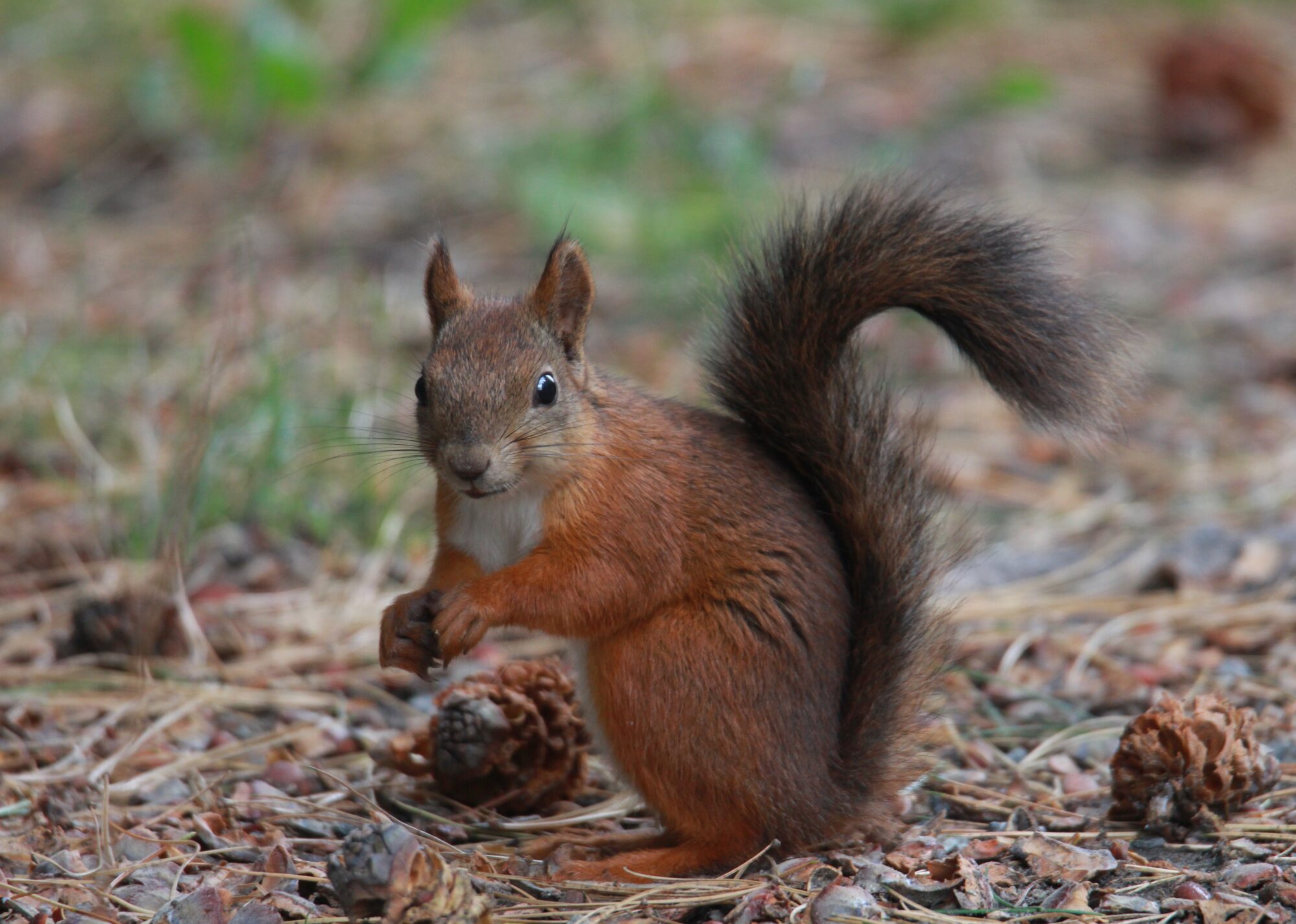 Valokuvaaja: Jaana Saarelainen Valokuvaaja: Jaana Saarelainen