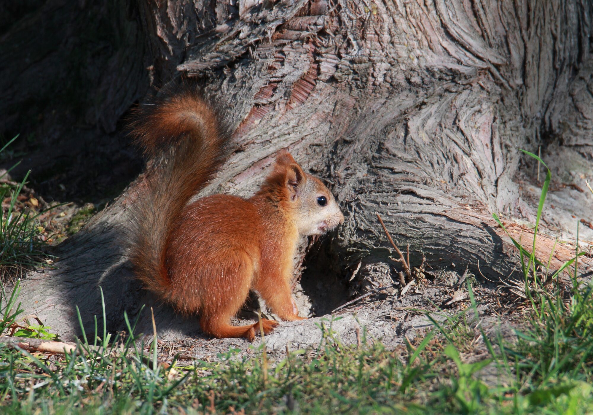 Valokuvaaja: Jaana Saarelainen