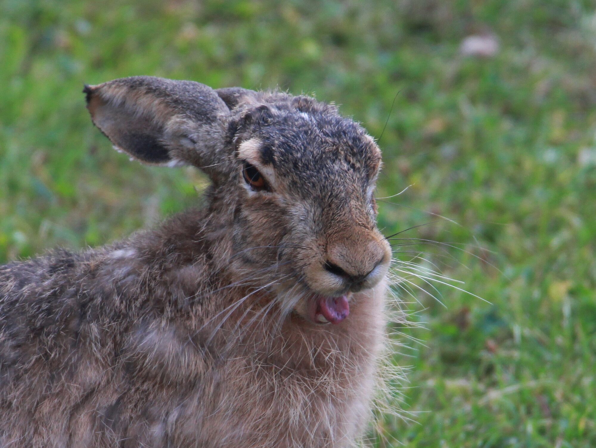 Valokuvaaja: Jaana Saarelainen Valokuvaaja: Jaana Saarelainen