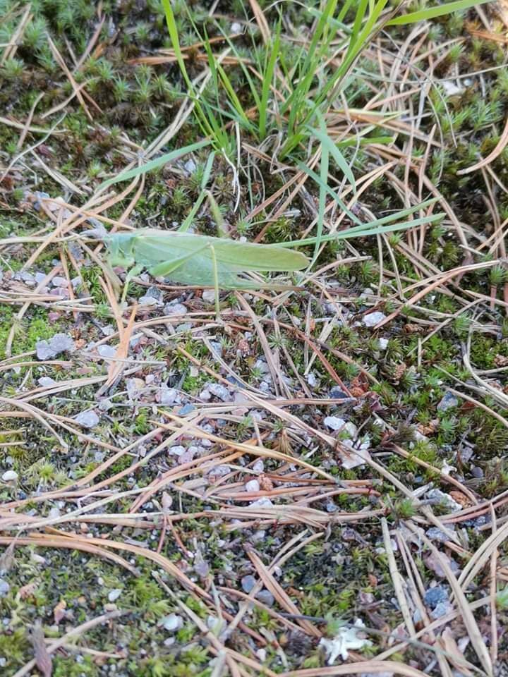 Valokuvaaja: Victoria Sandström