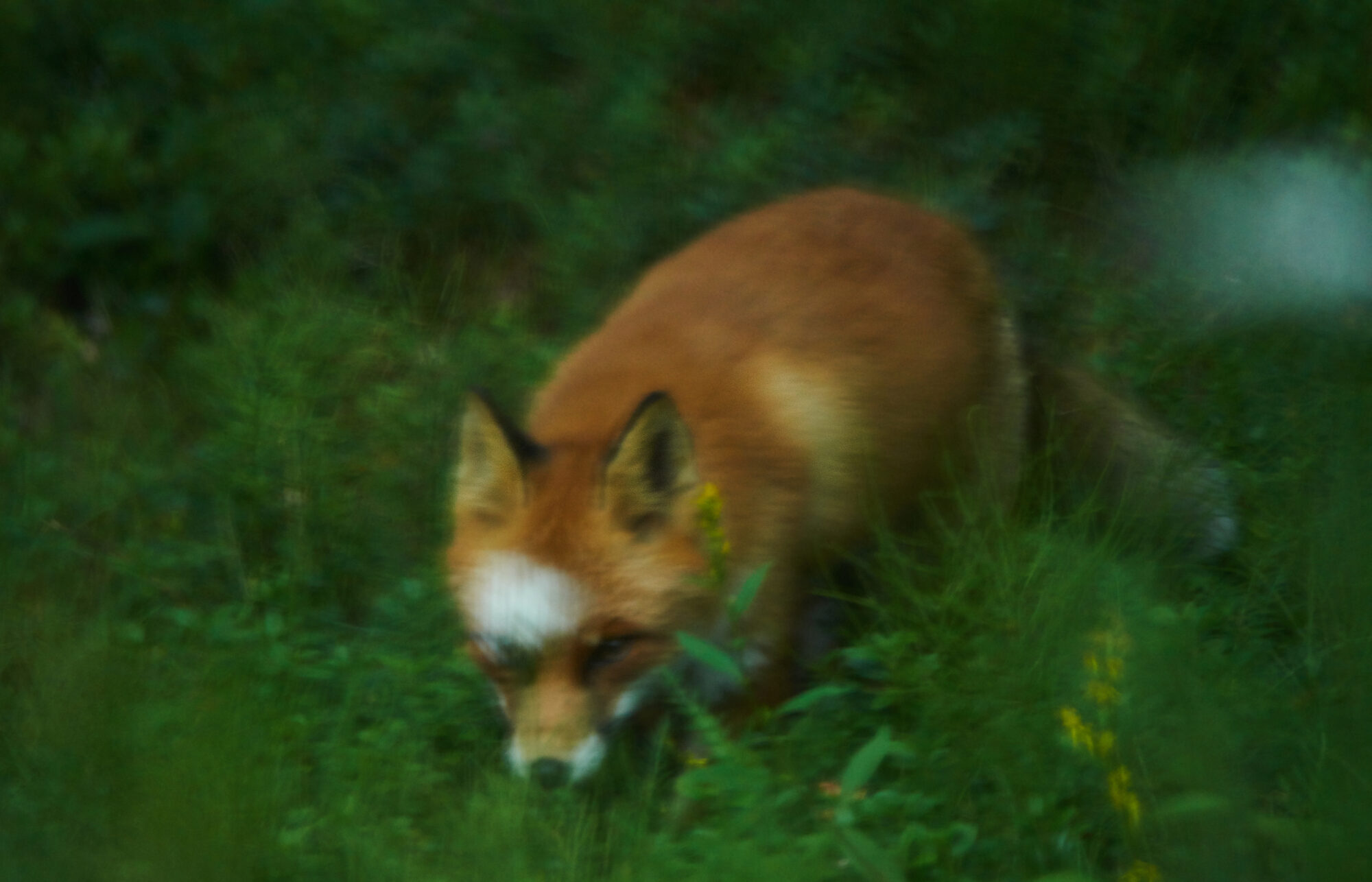 Valokuvaaja: Tarja Kouvo
