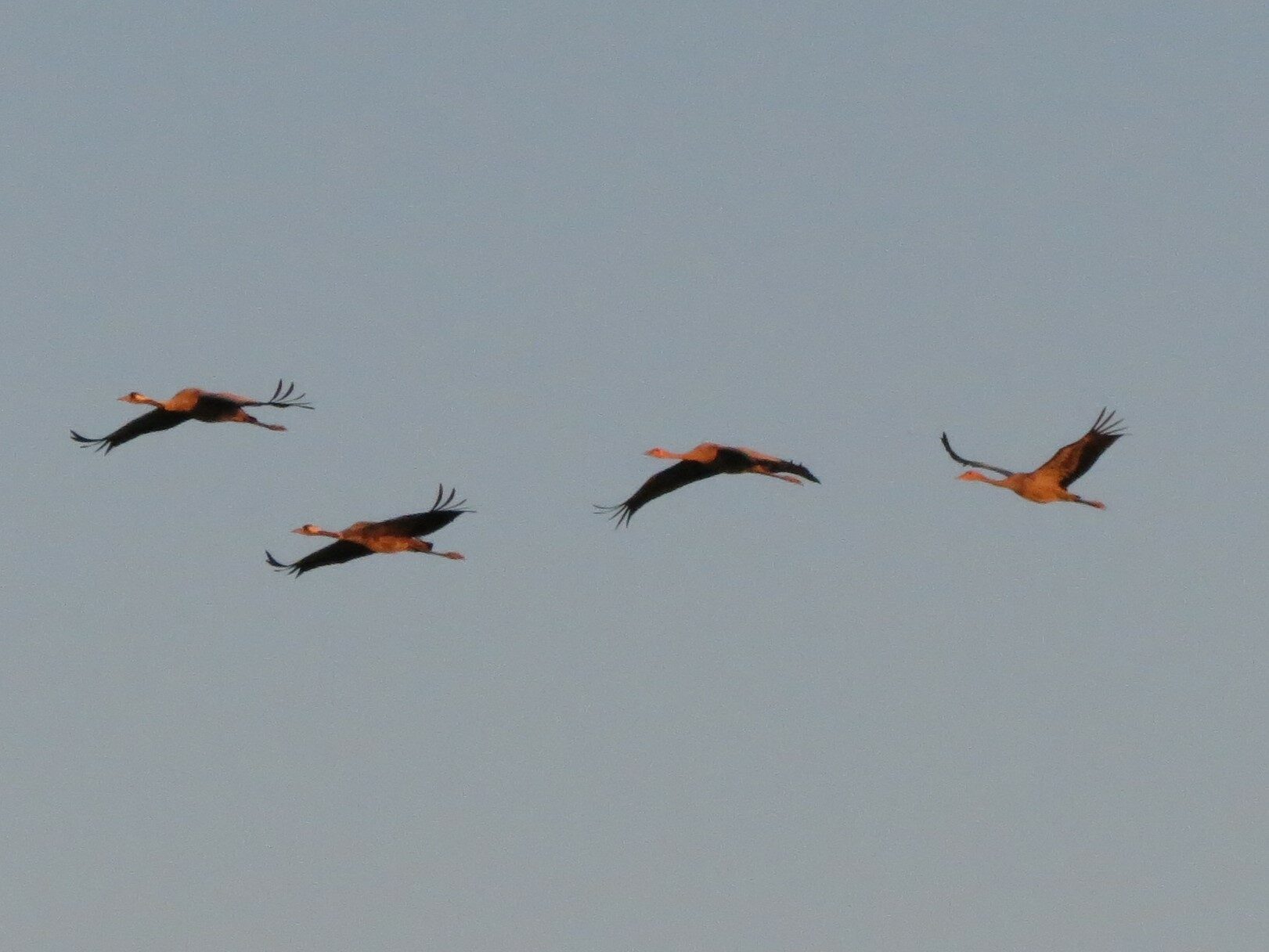 Valokuvaaja: Elina Vuorimaa-Laukkanen