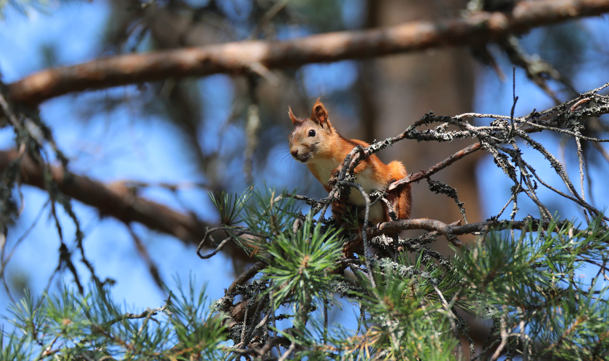 Valokuvaaja: Ahti Keränen